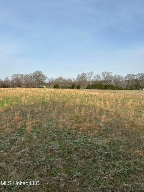 Vacant Land For Sale - Ms-469<br/> Florence, MS 39073