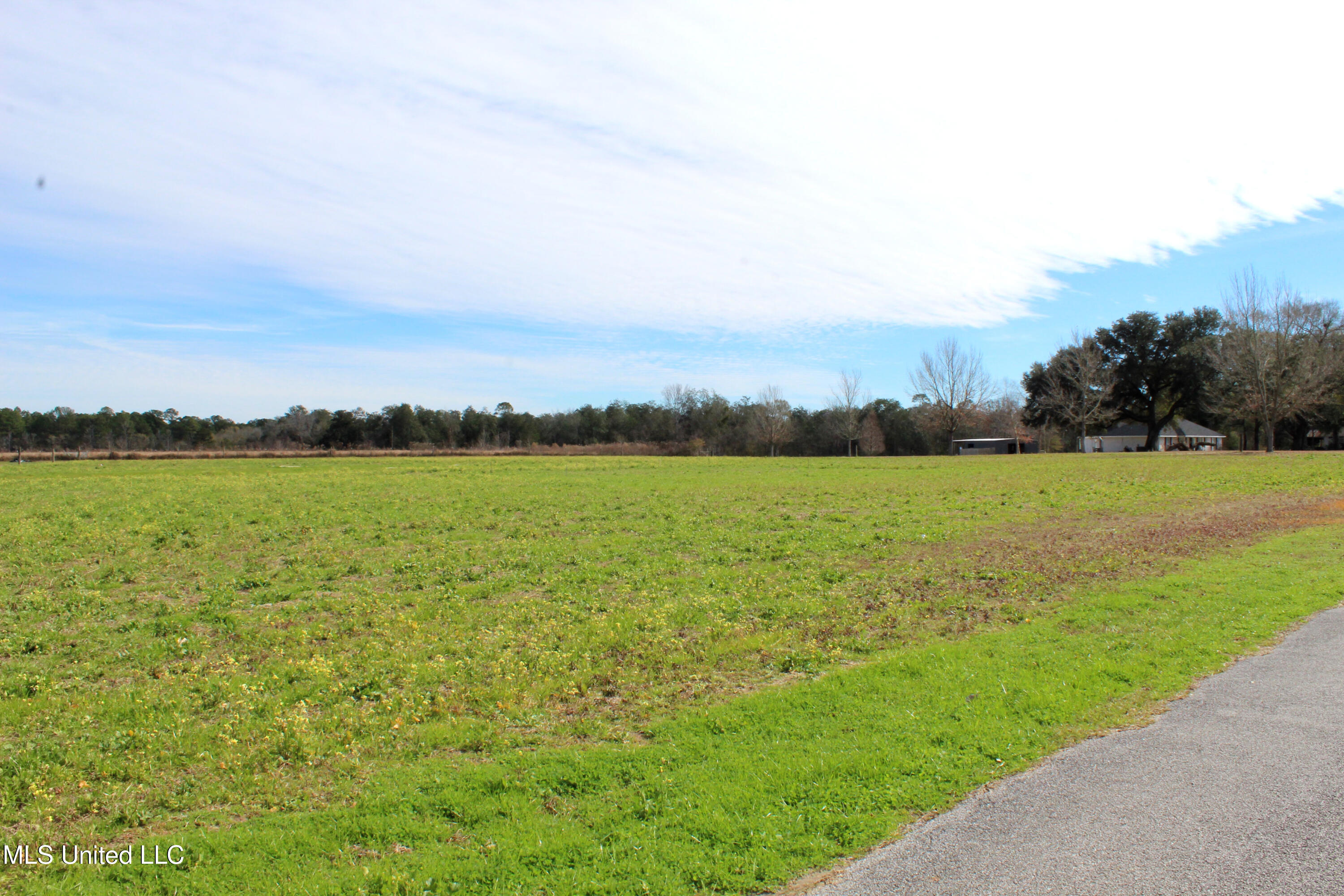 Yellow Bluff Road, Lucedale, Mississippi image 2