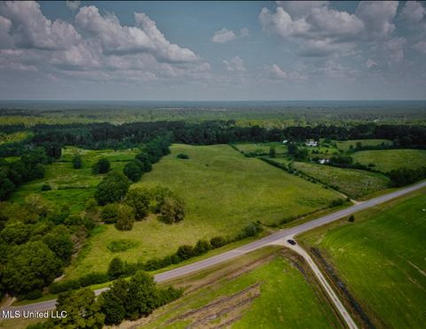 Vacant Land For Sale - Thomas School Road<br/> Lumberton, MS 39455