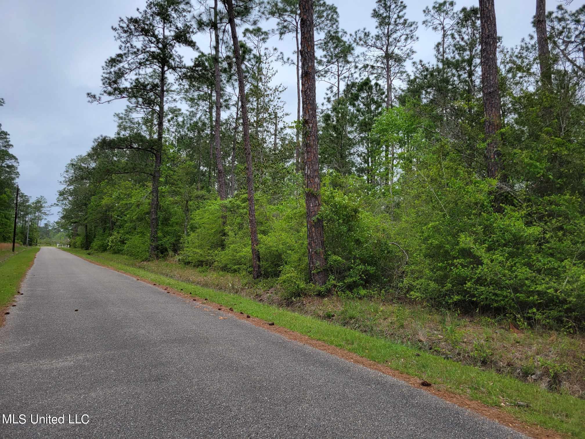 1st (lots 142-146) 5 Lots Street, Bay Saint Louis, Mississippi image 1