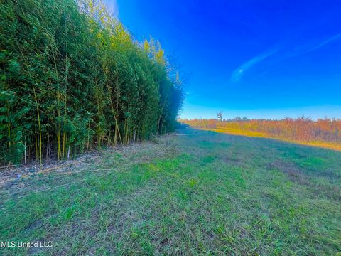 Vacant Land For Sale - Darbun China Grove Road<br/> Sandy Hook, MS 39478