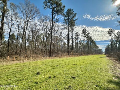 Vacant Land For Sale - 3 Dry Grove Road<br/> Terry, MS 39170