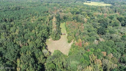 Vacant Land For Sale - 1800 County Road 212<br/> Water Valley, MS 38965