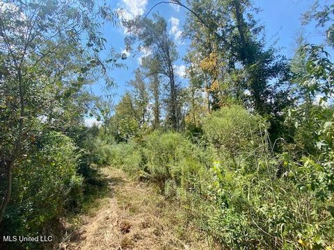 Vacant Land For Sale - Quinlivan Rd<br/> Pike County, Magnolia, MS 39652