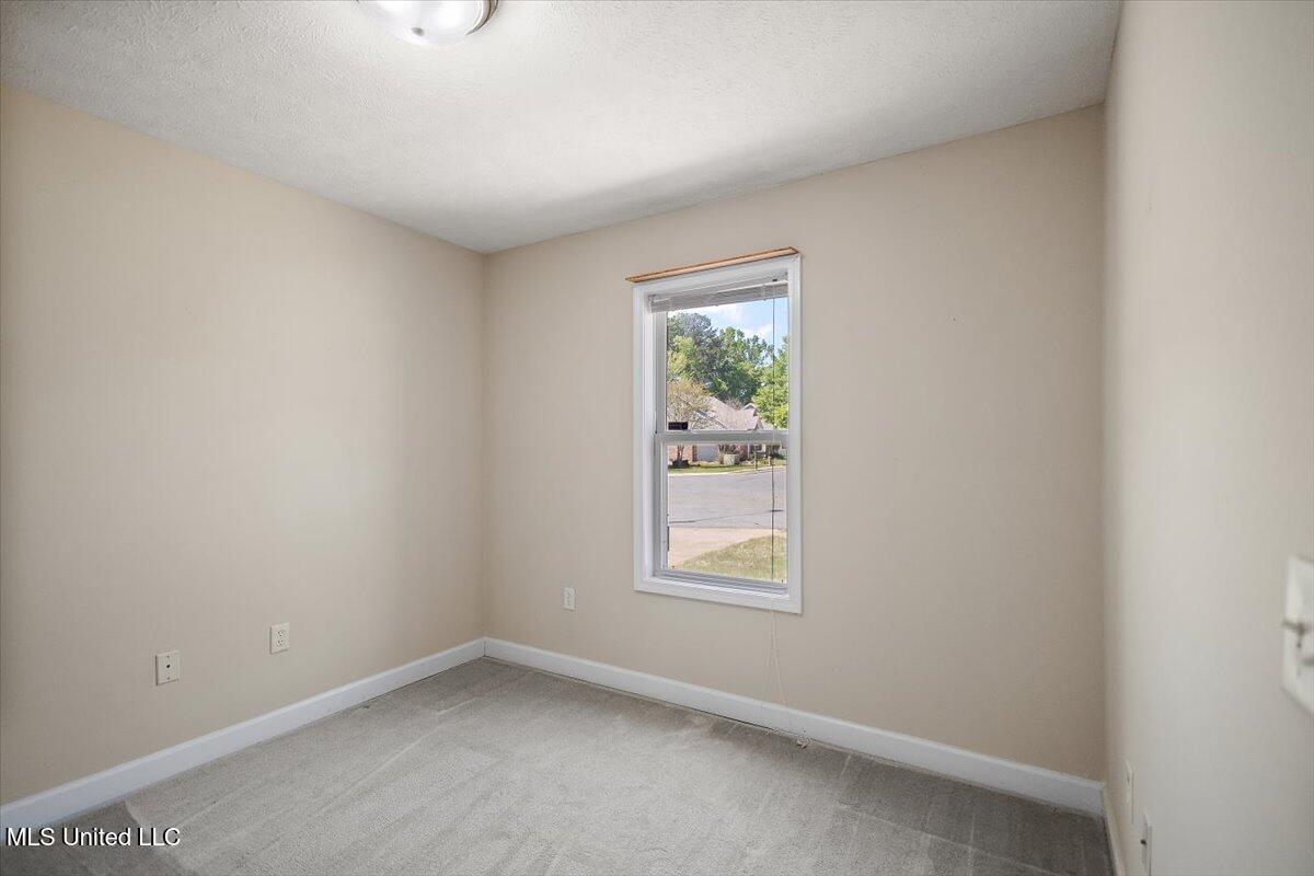 130 Basswood Circle, Brandon, Mississippi image 20