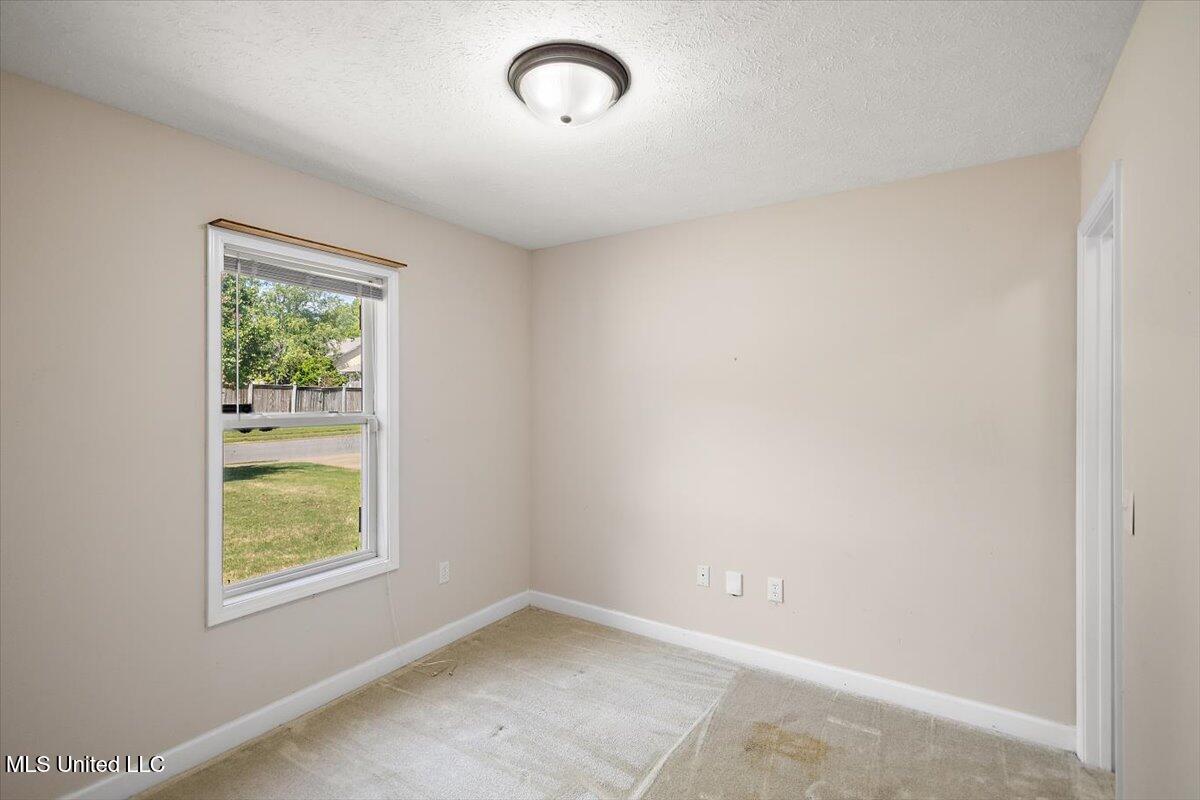 130 Basswood Circle, Brandon, Mississippi image 17