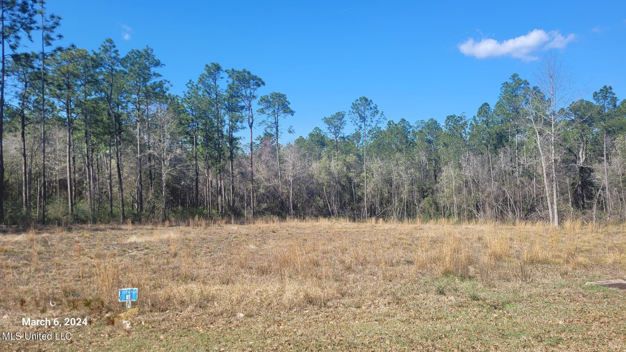 Hartley Circle Lot 8a, Gulfport, Mississippi image 5