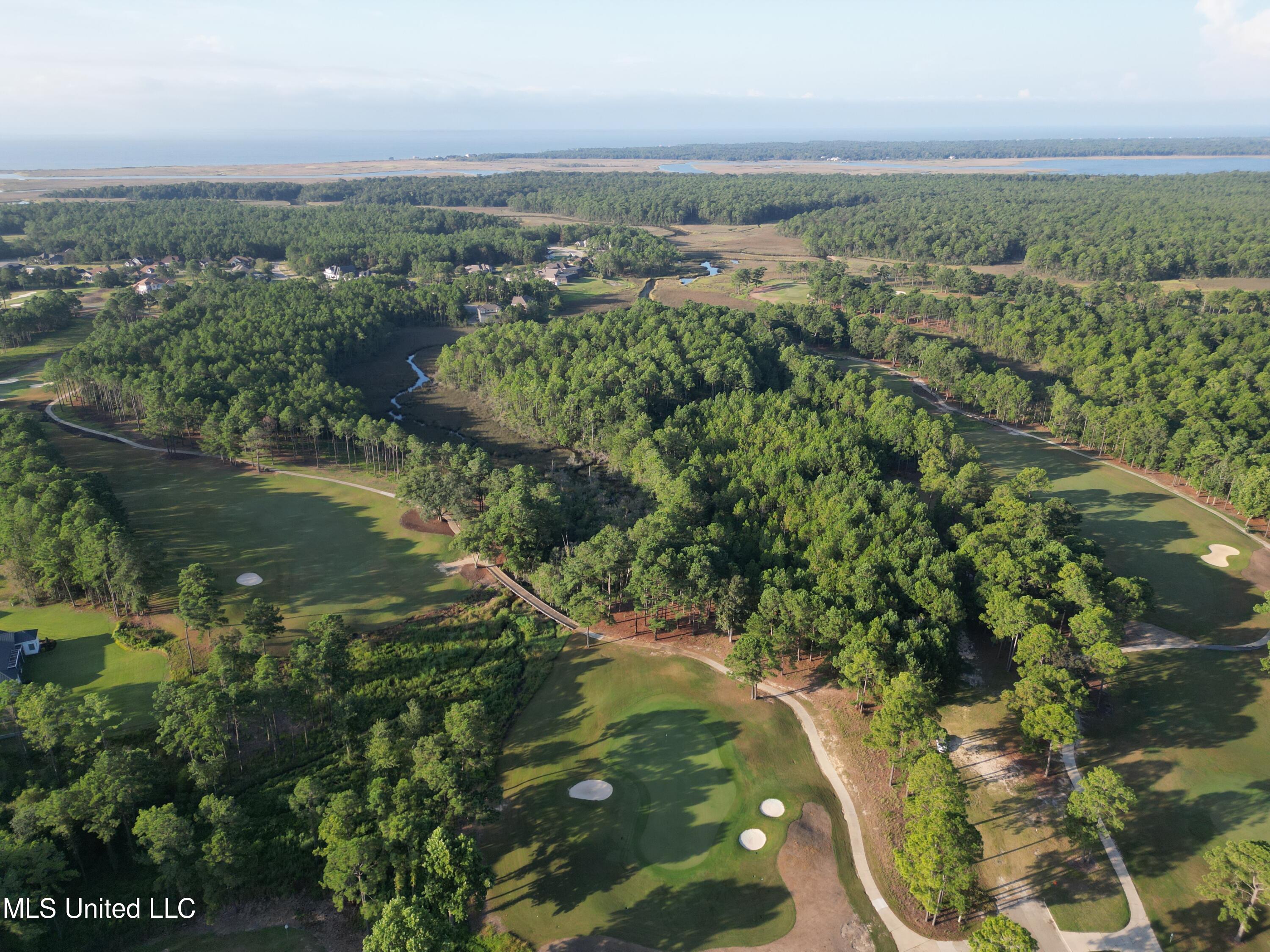 1007 Birdie Lane, Gautier, Mississippi image 3