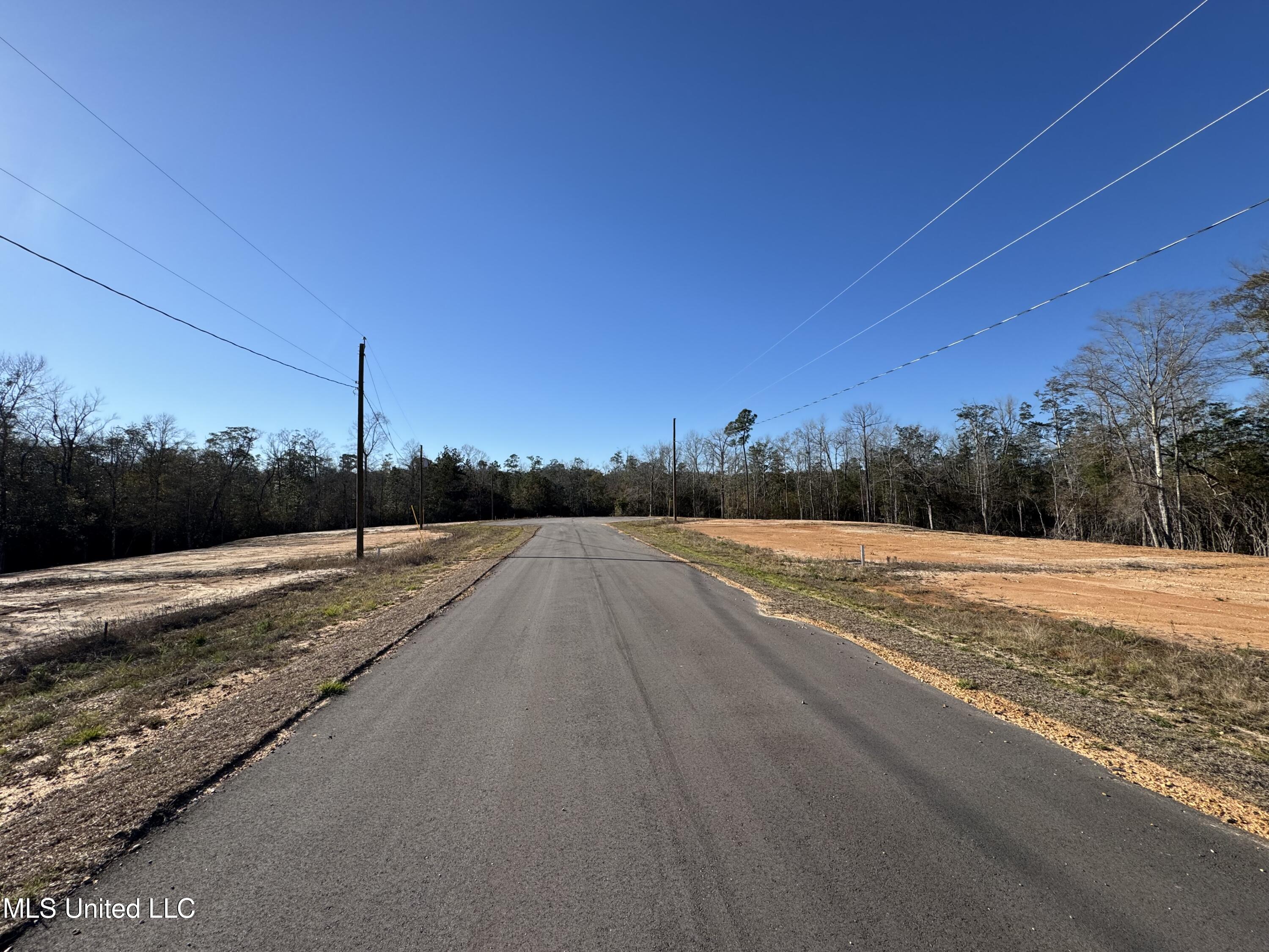 Shadow Wood - Lot 4 Drive, Perkinston, Mississippi image 3