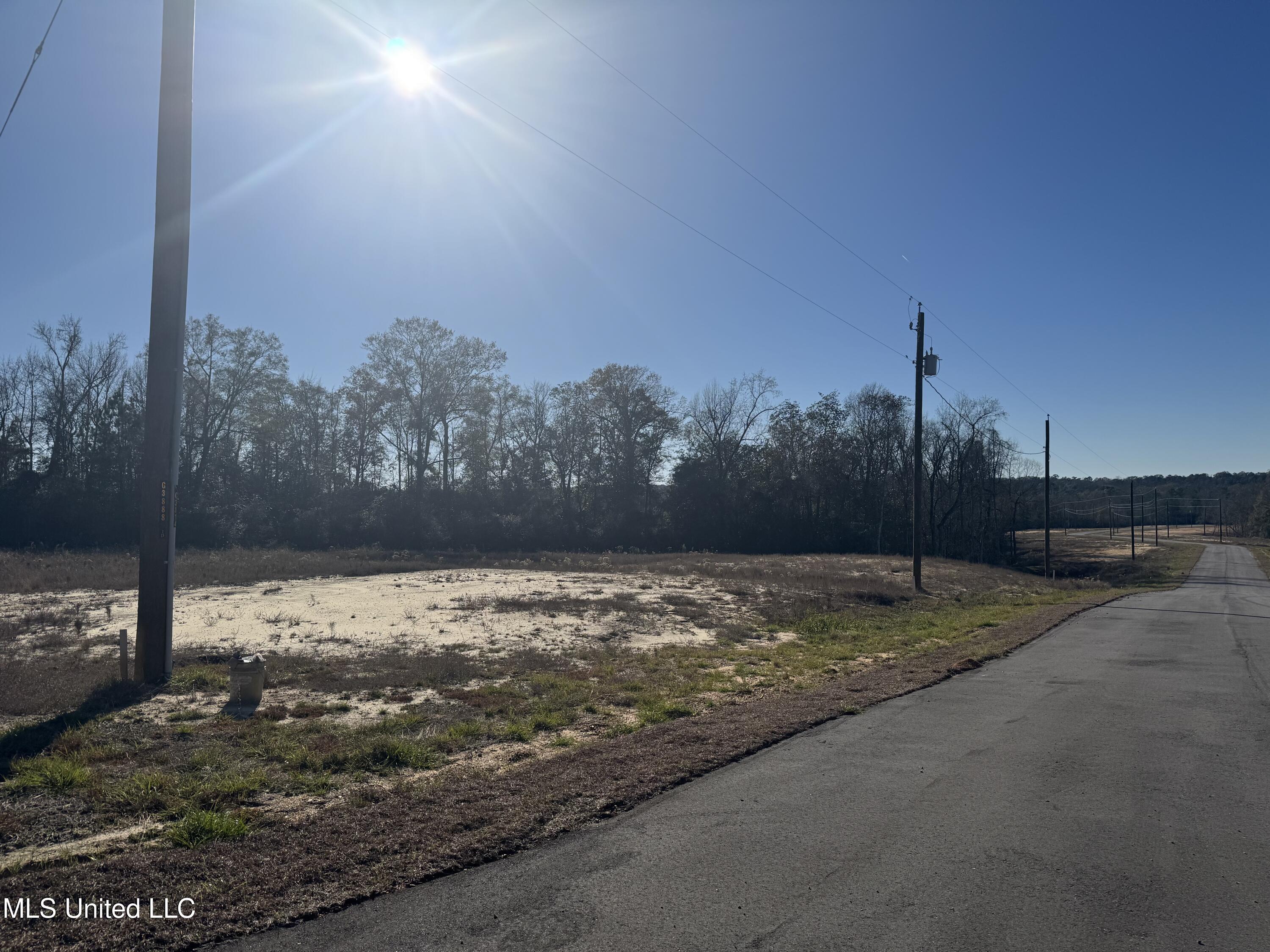 Shadow Wood - Lot 4 Drive, Perkinston, Mississippi image 2