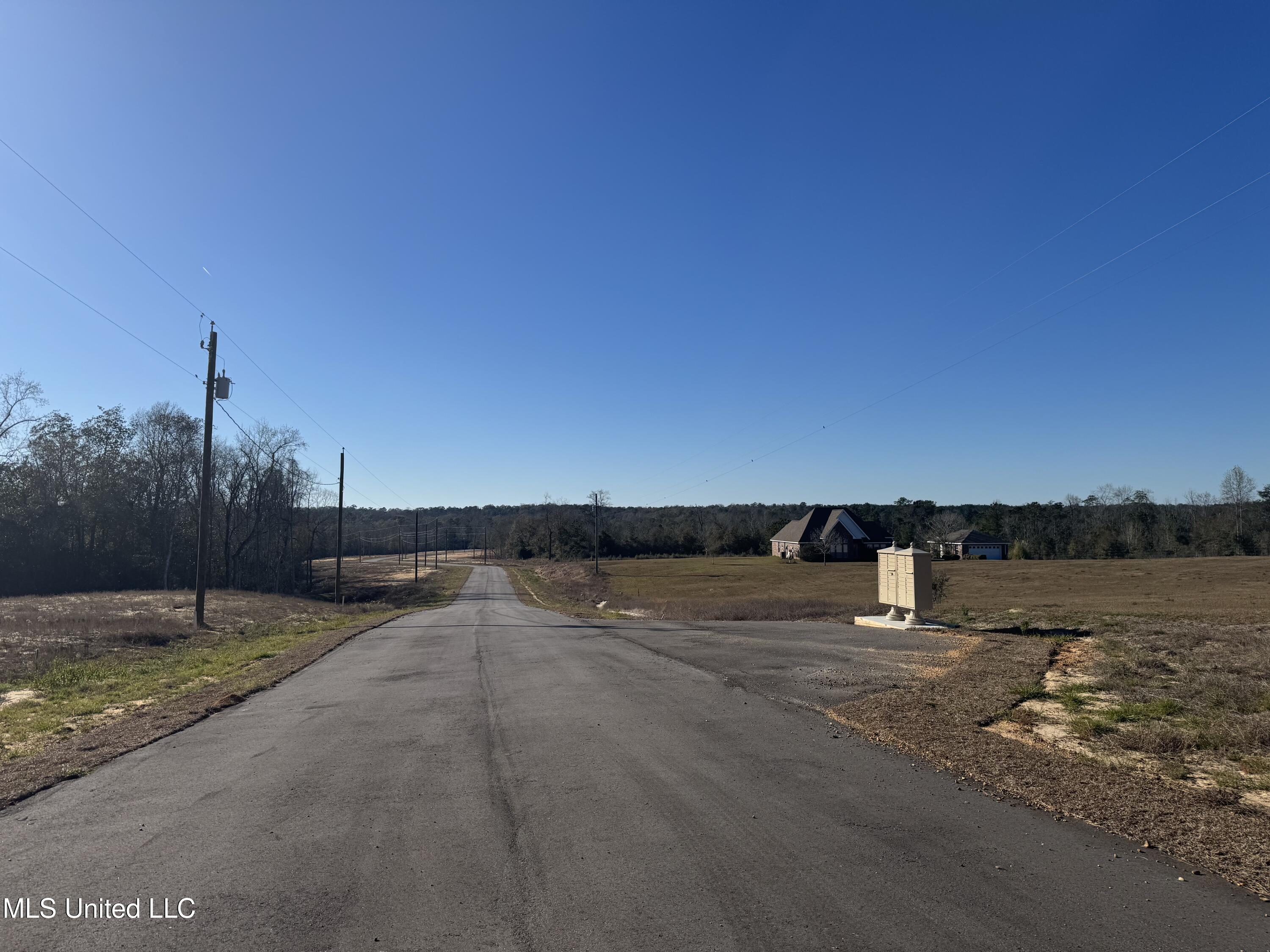 Shadow Wood - Lot 4 Drive, Perkinston, Mississippi image 1