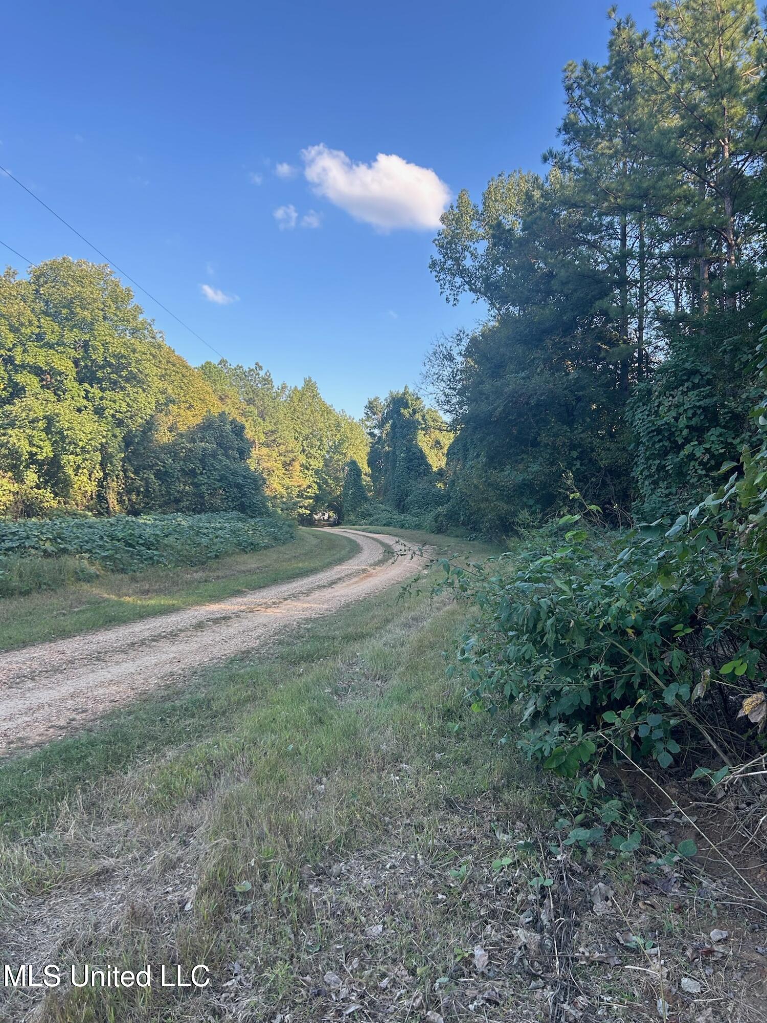 201 Holt, Potts Camp, Mississippi image 3
