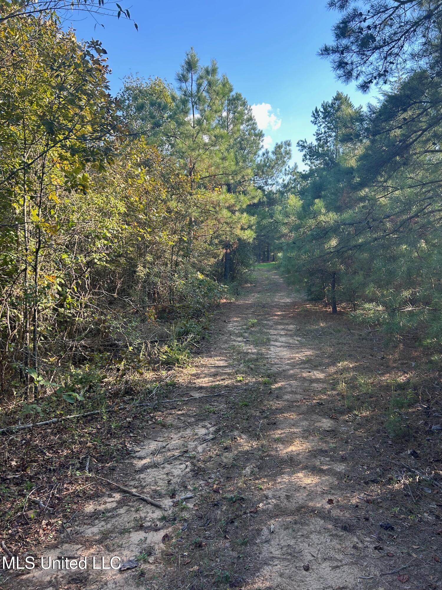201 Holt, Potts Camp, Mississippi image 6