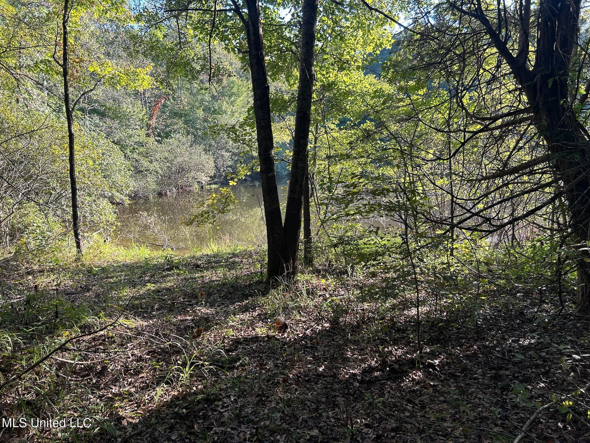 201 Holt, Potts Camp, Mississippi image 19