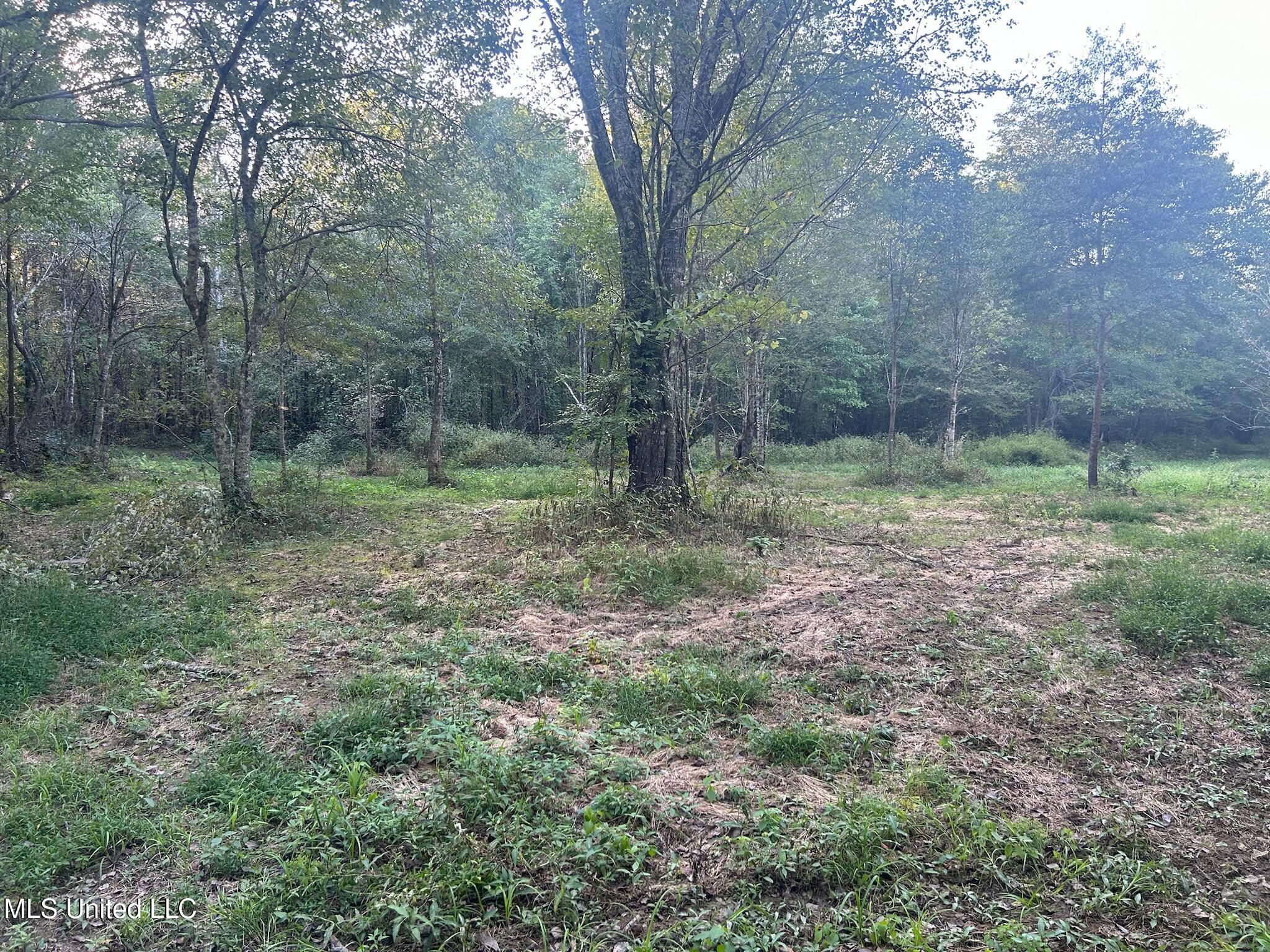 201 Holt, Potts Camp, Mississippi image 38