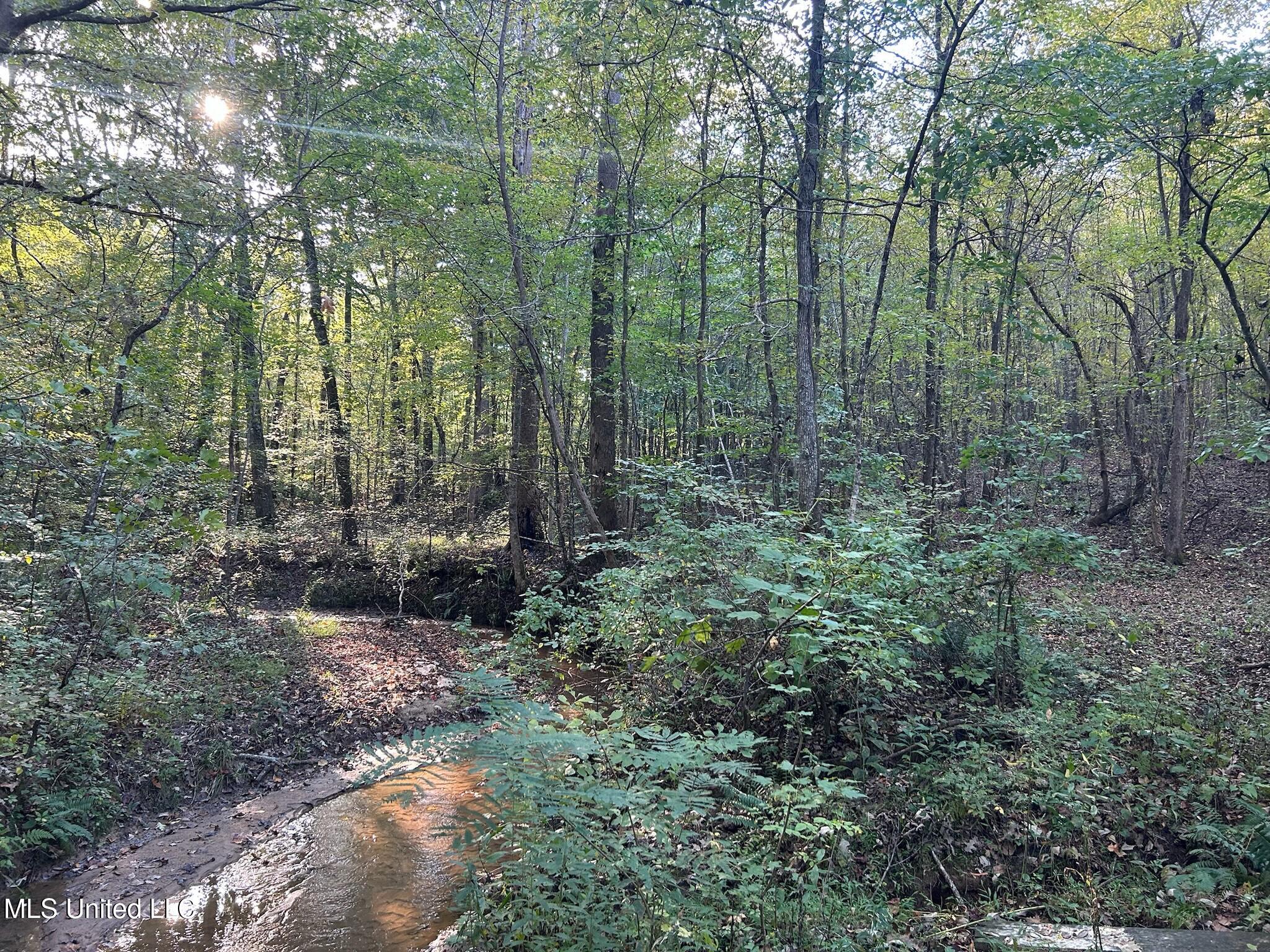 201 Holt, Potts Camp, Mississippi image 7