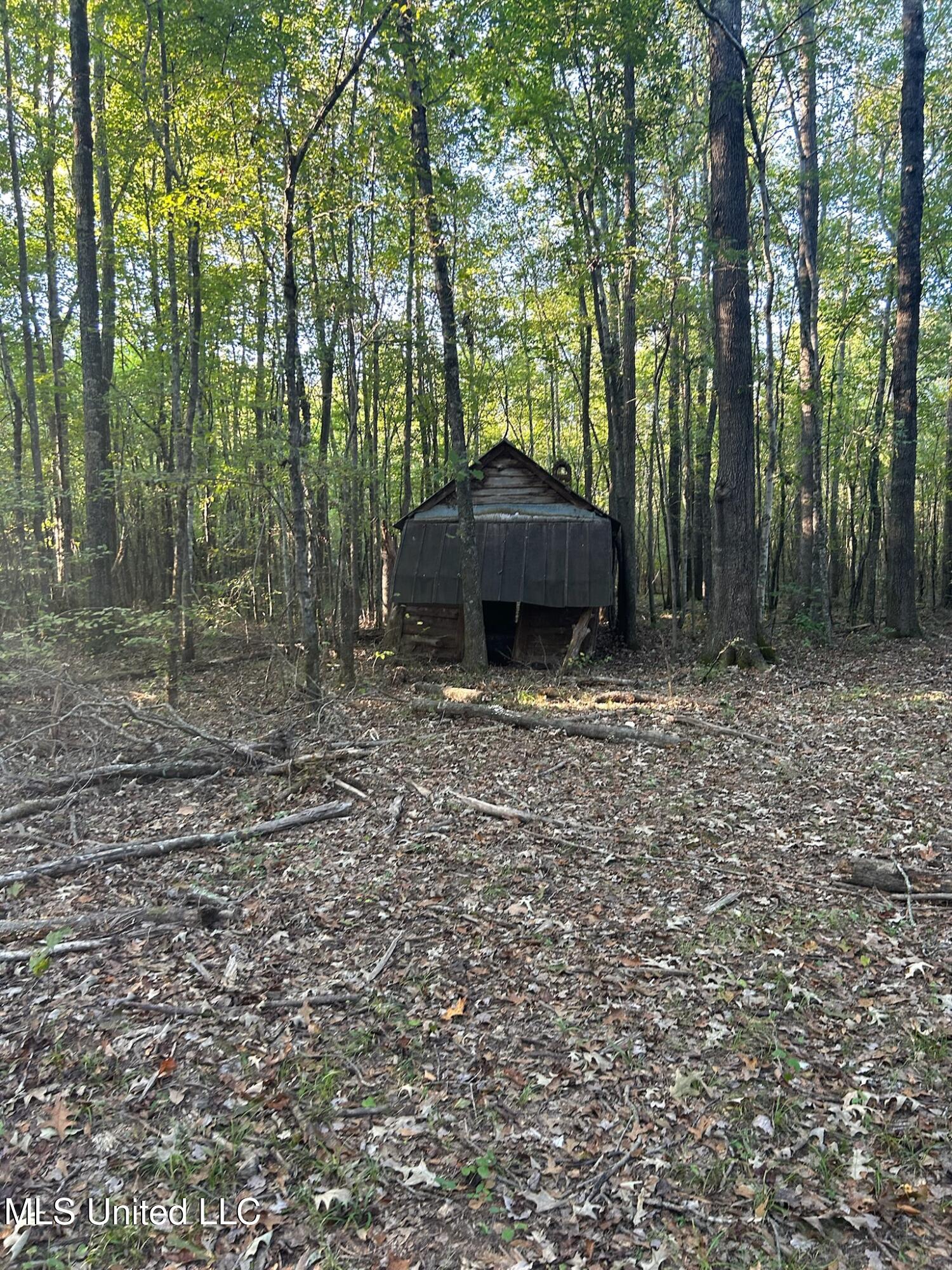 201 Holt, Potts Camp, Mississippi image 26