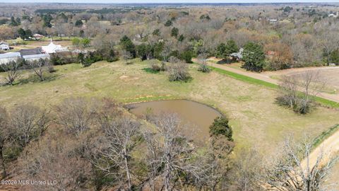 Vacant Land For Sale - 392 Sycamore Road<br/> Coldwater, MS 38618