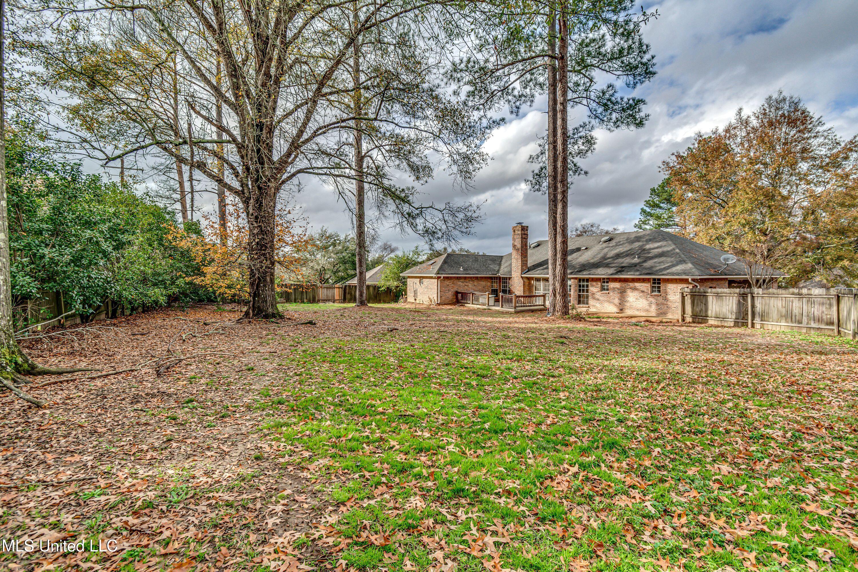 202 Woodrun Drive, Ridgeland, Mississippi image 15