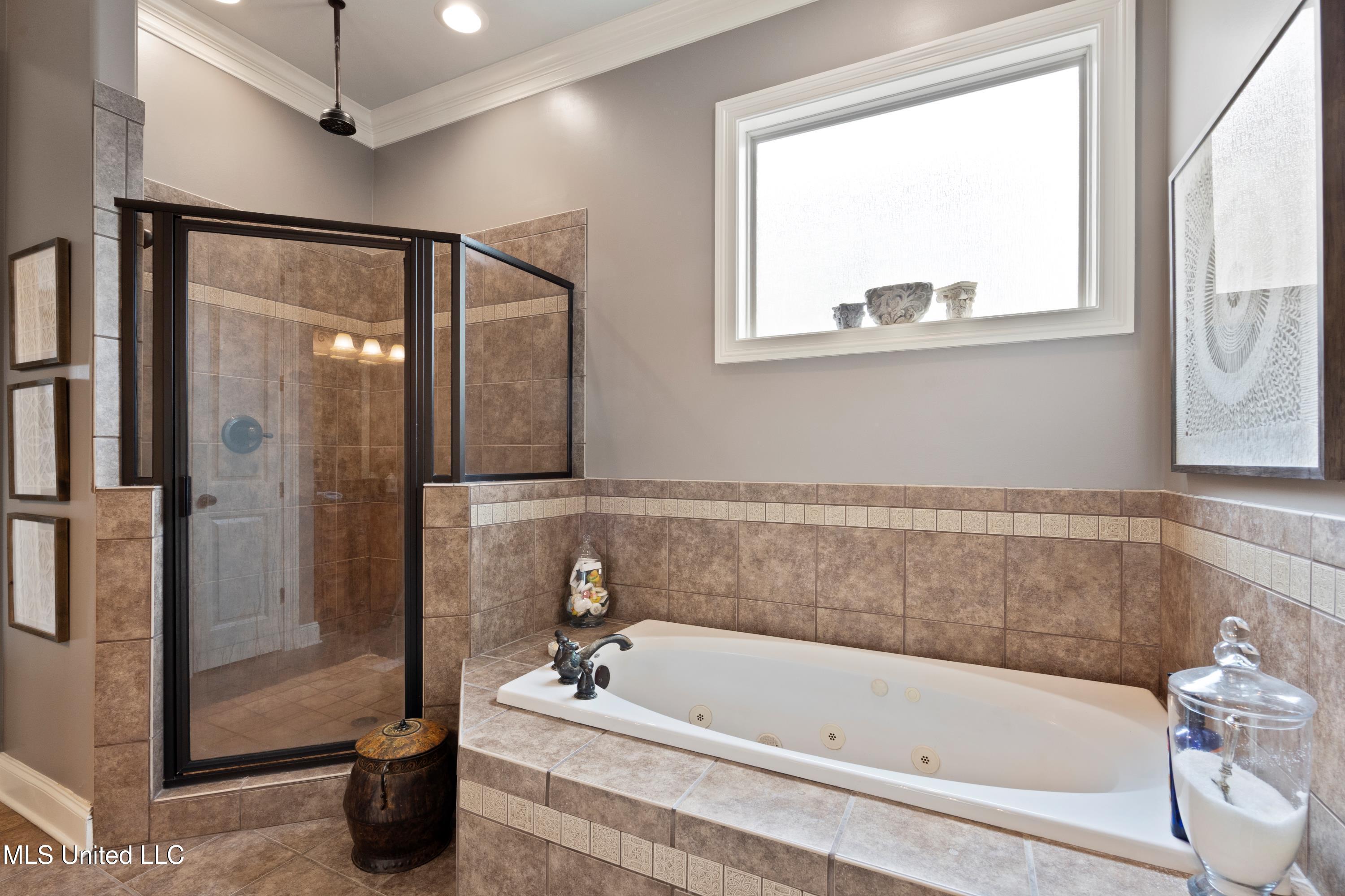 3095 W Beauvoir Place, Hernando, Mississippi image 23