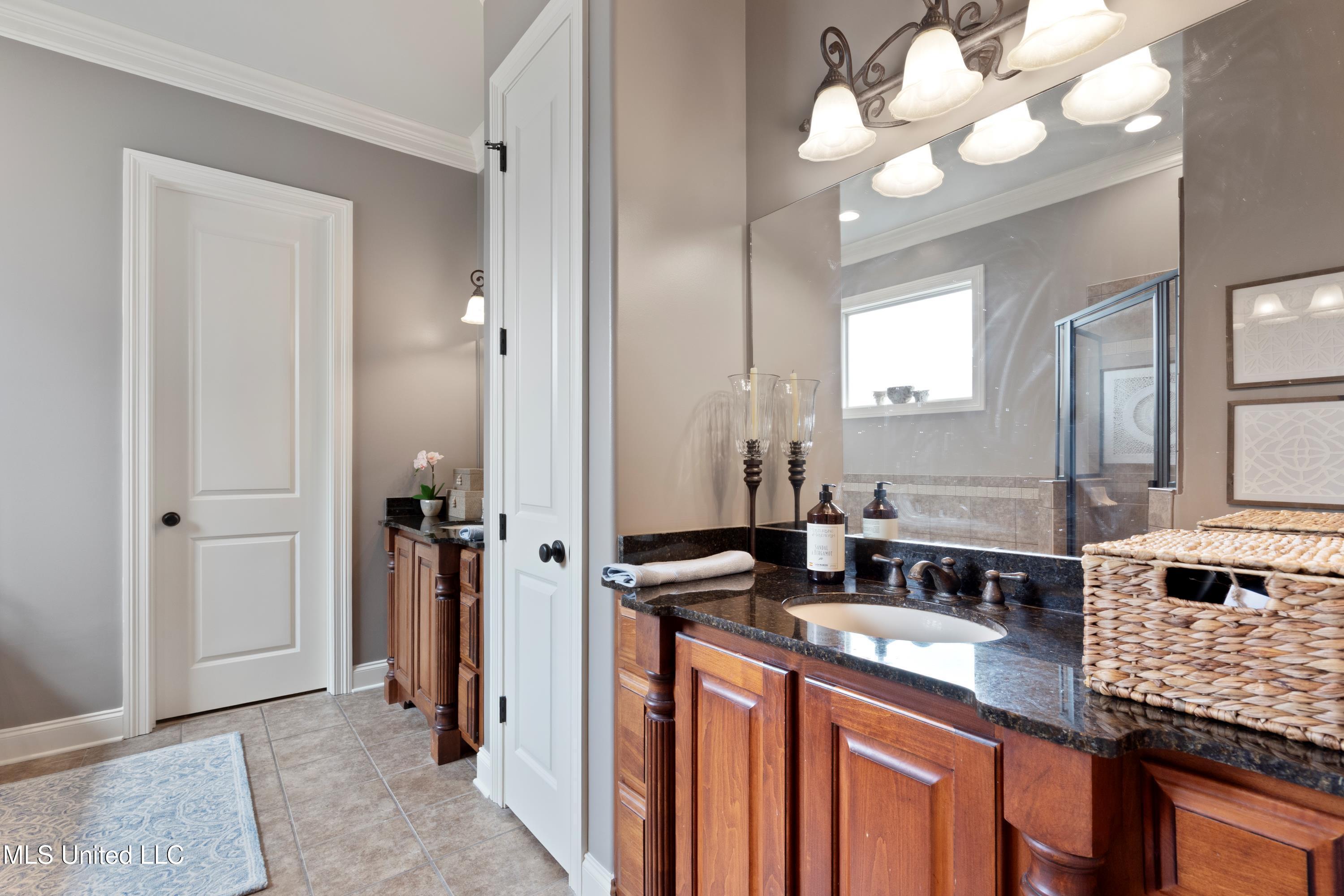 3095 W Beauvoir Place, Hernando, Mississippi image 21