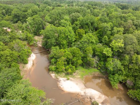 Vacant Land For Sale - 81.64 Acres William Warren Road<br/> Covington County, Collins, MS 39428
