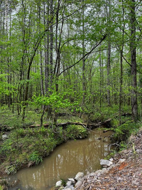 Vacant Land For Sale - 990 Conley<br/> Grenada, MS 38901