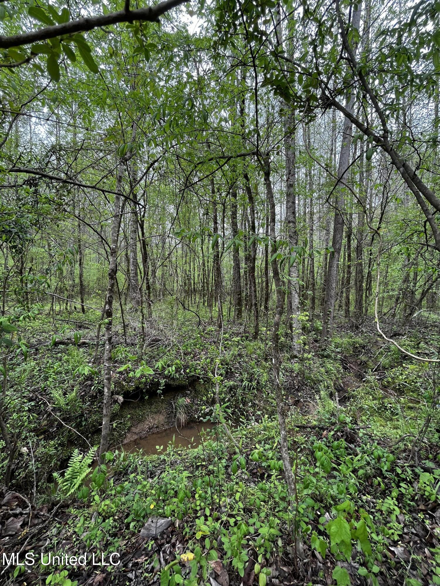 990 Conley, Grenada, Mississippi image 8
