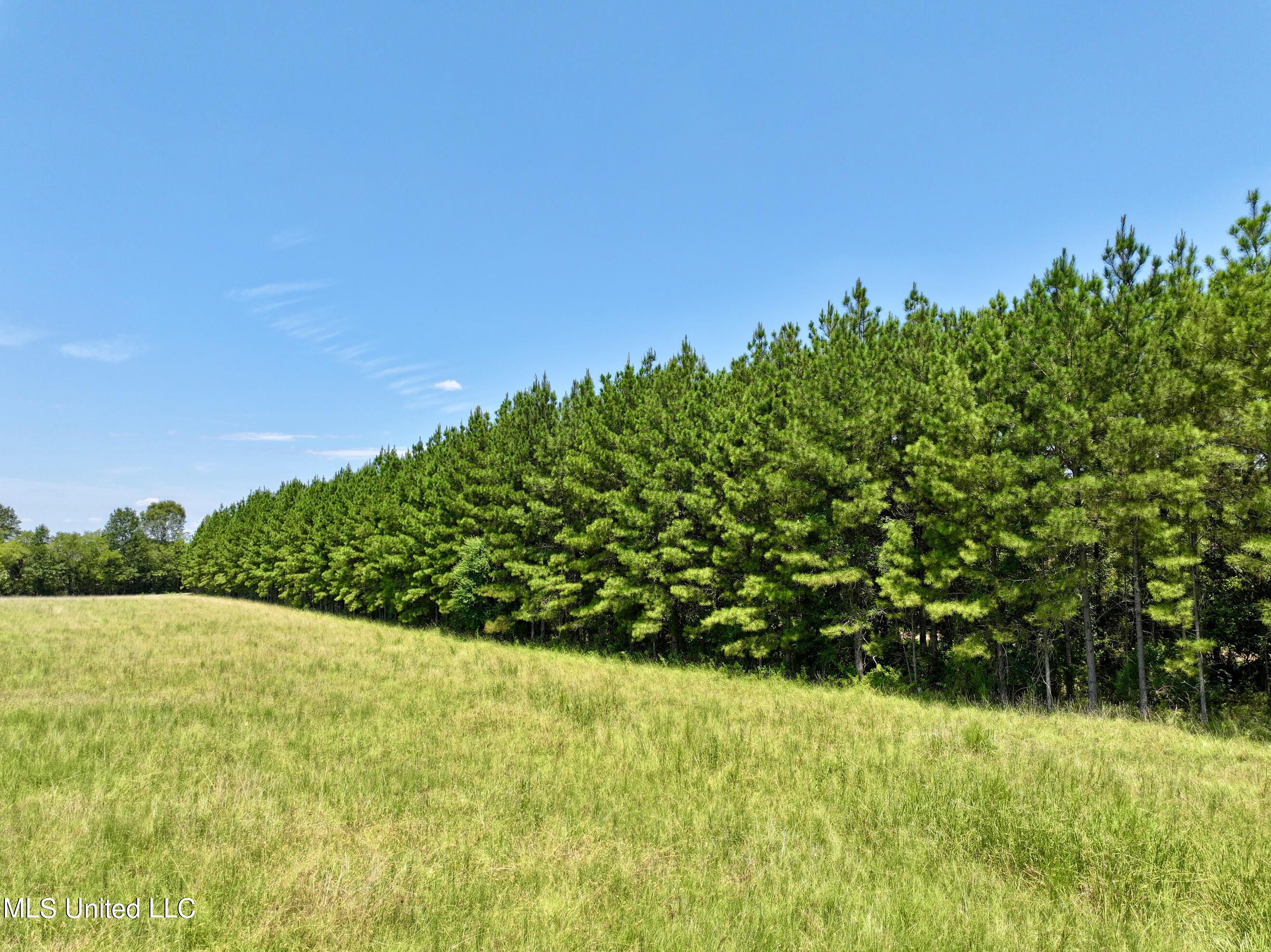 Cedar Hill Rd, Flora, Mississippi image 7