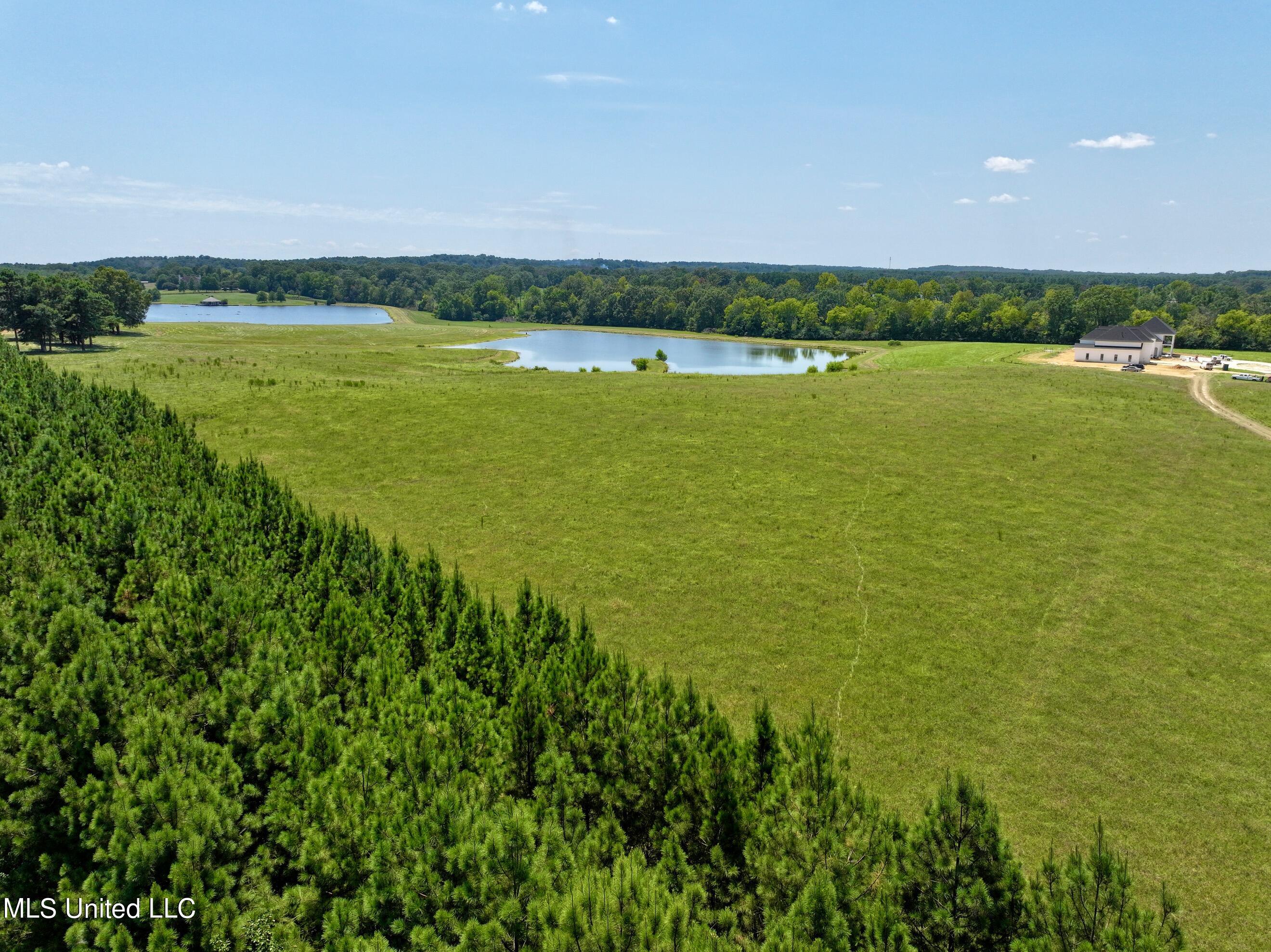 Cedar Hill Rd, Flora, Mississippi image 3