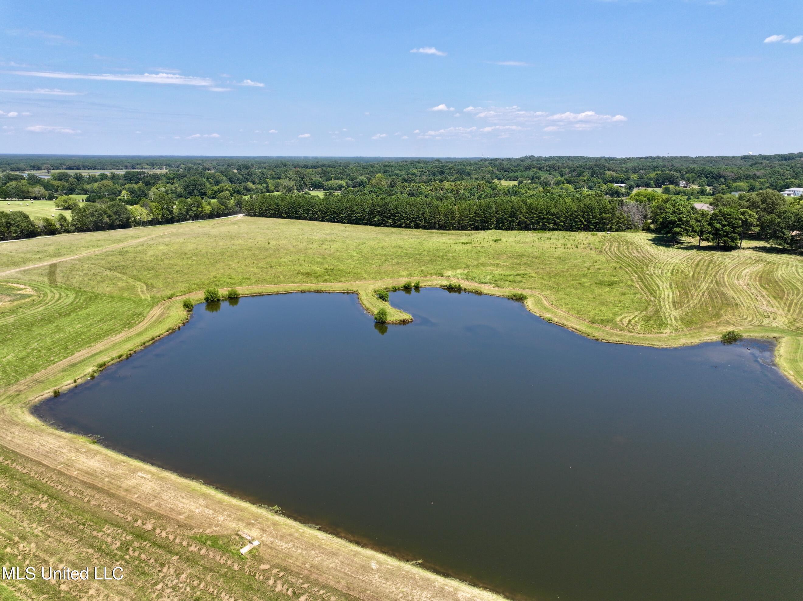 Cedar Hill Rd, Flora, Mississippi image 8