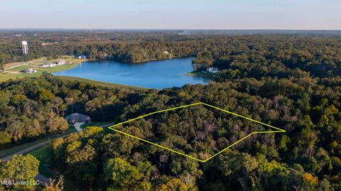 Vacant Land For Sale - Lot 97 Chestnut Hill Road<br/> Flora, MS 39071