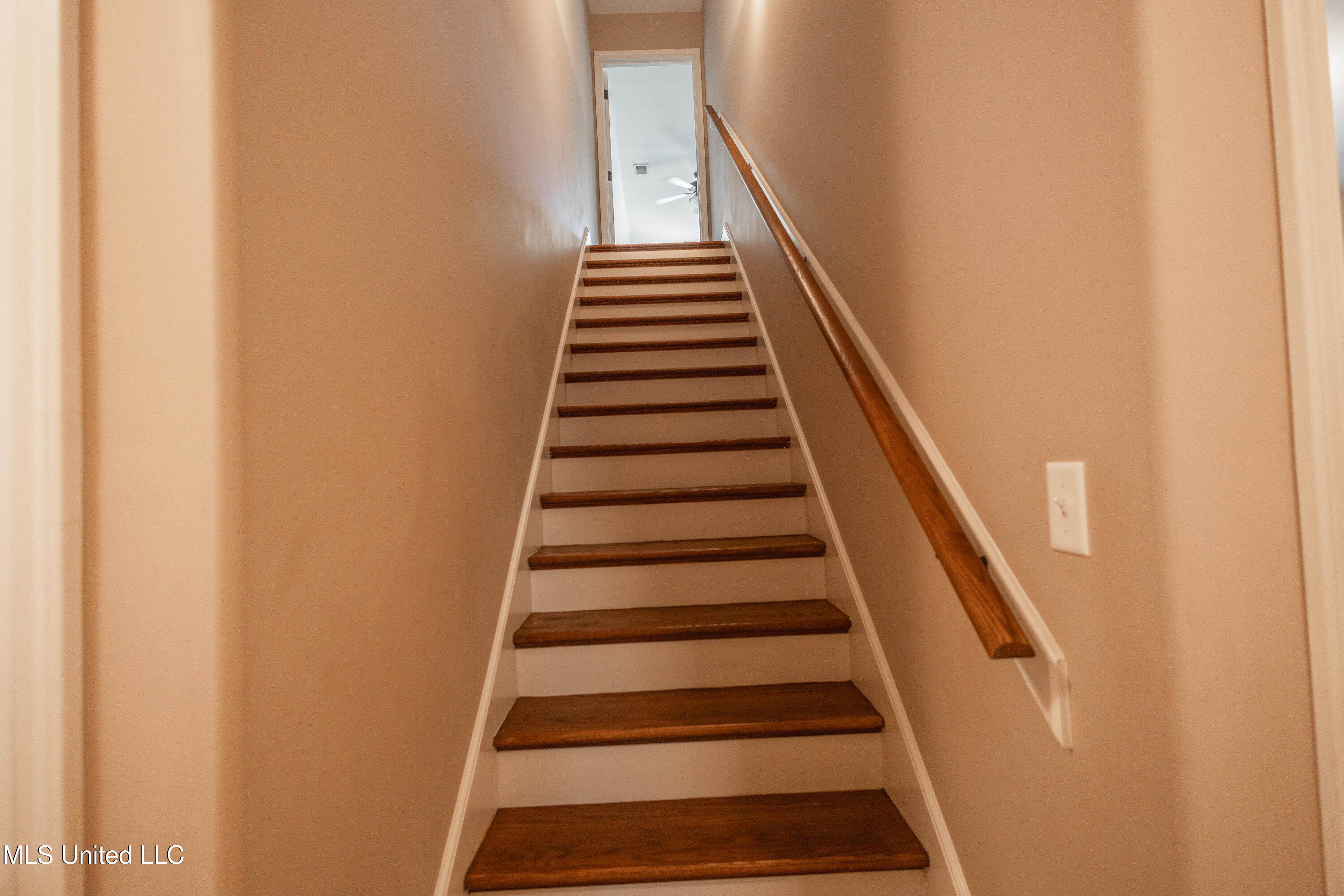 8233 Ashton Lane, Southaven, Mississippi image 17