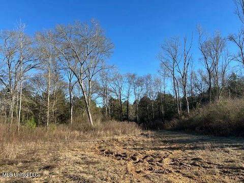 Vacant Land For Sale - 8127 Magnolia Holmesville Road<br/> Pike County, McComb, MS 39648