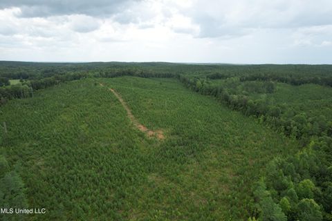 Vacant Land For Sale - County Road 481<br/> Paris, MS 38949