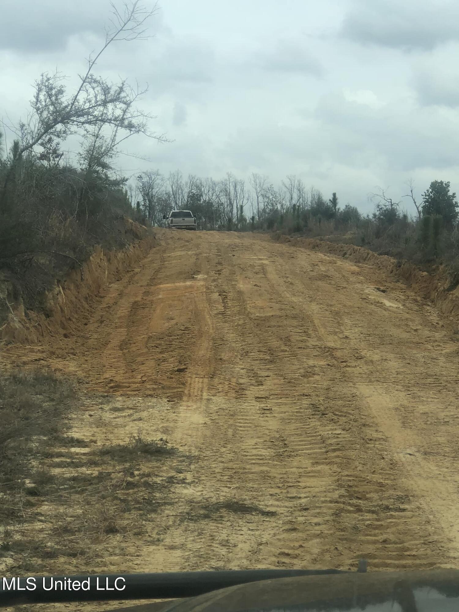 NE Savannah Millard Road, Poplarville, Mississippi image 9