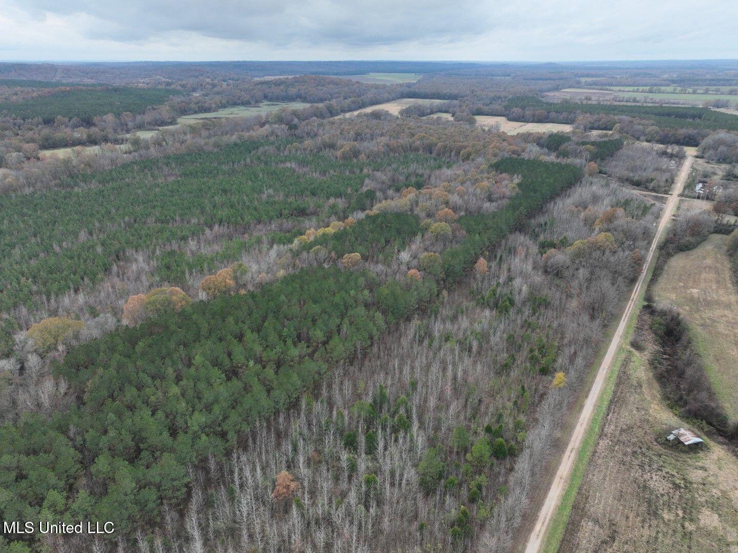 20 Ac. 9 Highway, Bruce, Mississippi image 15