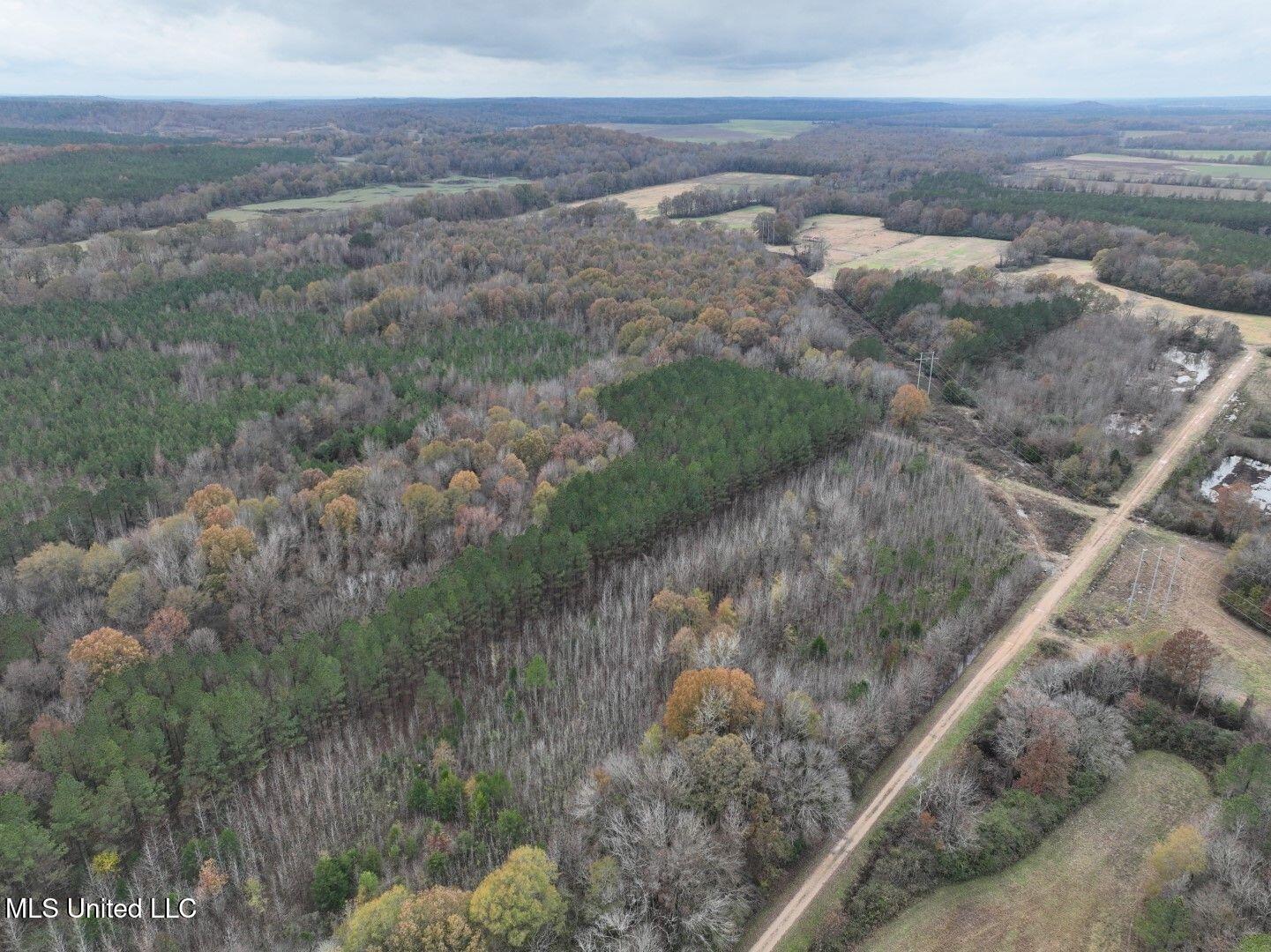 20 Ac. 9 Highway, Bruce, Mississippi image 3