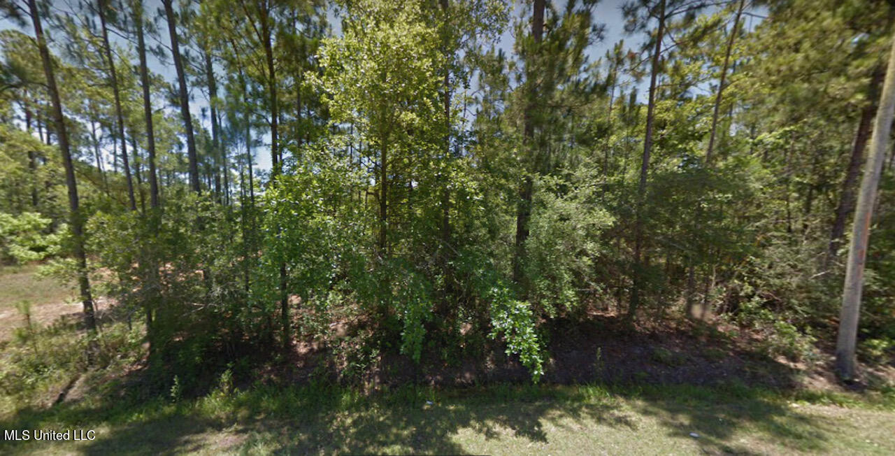 Lot 11 Royal Oak Drive, Pass Christian, Mississippi image 1