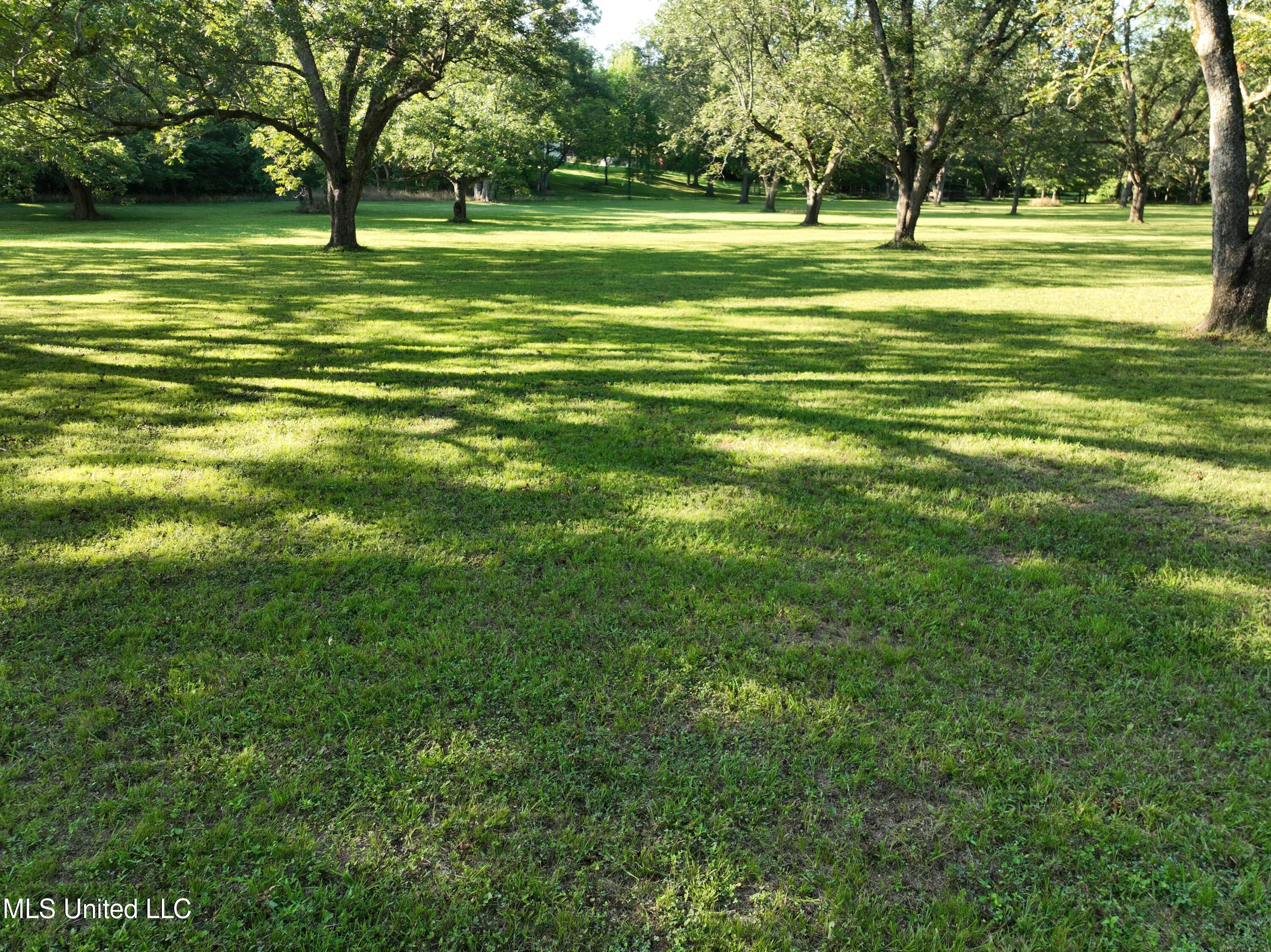 810 Friars Point Road, Clarksdale, Mississippi image 8