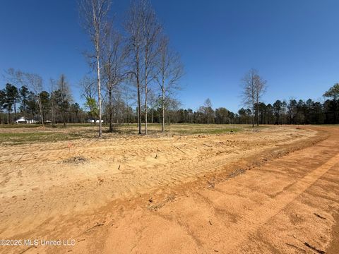 Vacant Land For Sale - LOT 4 Oakley Lane<br/> Lucedale, MS 39452