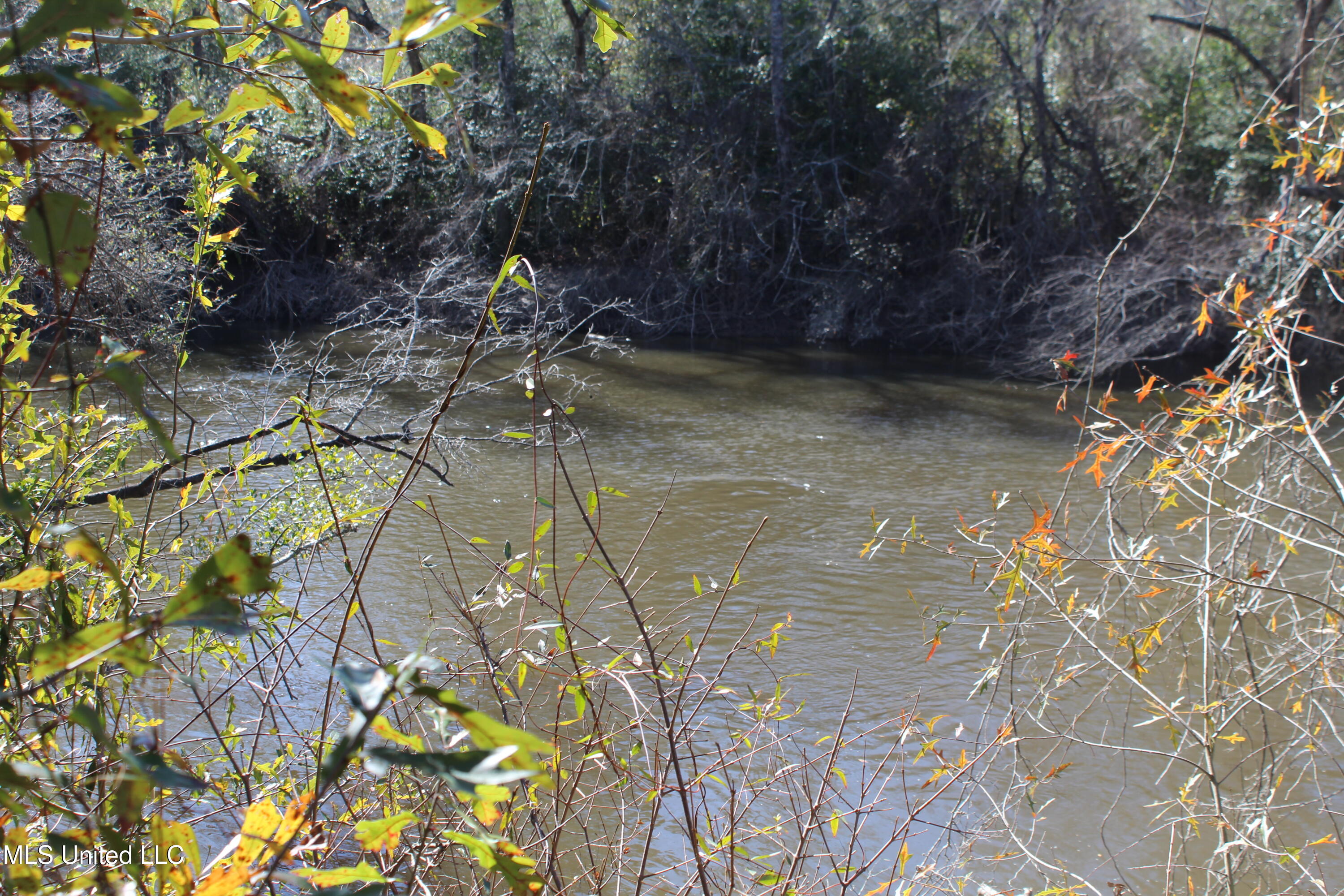 Red Creek Road, Lucedale, Mississippi image 8