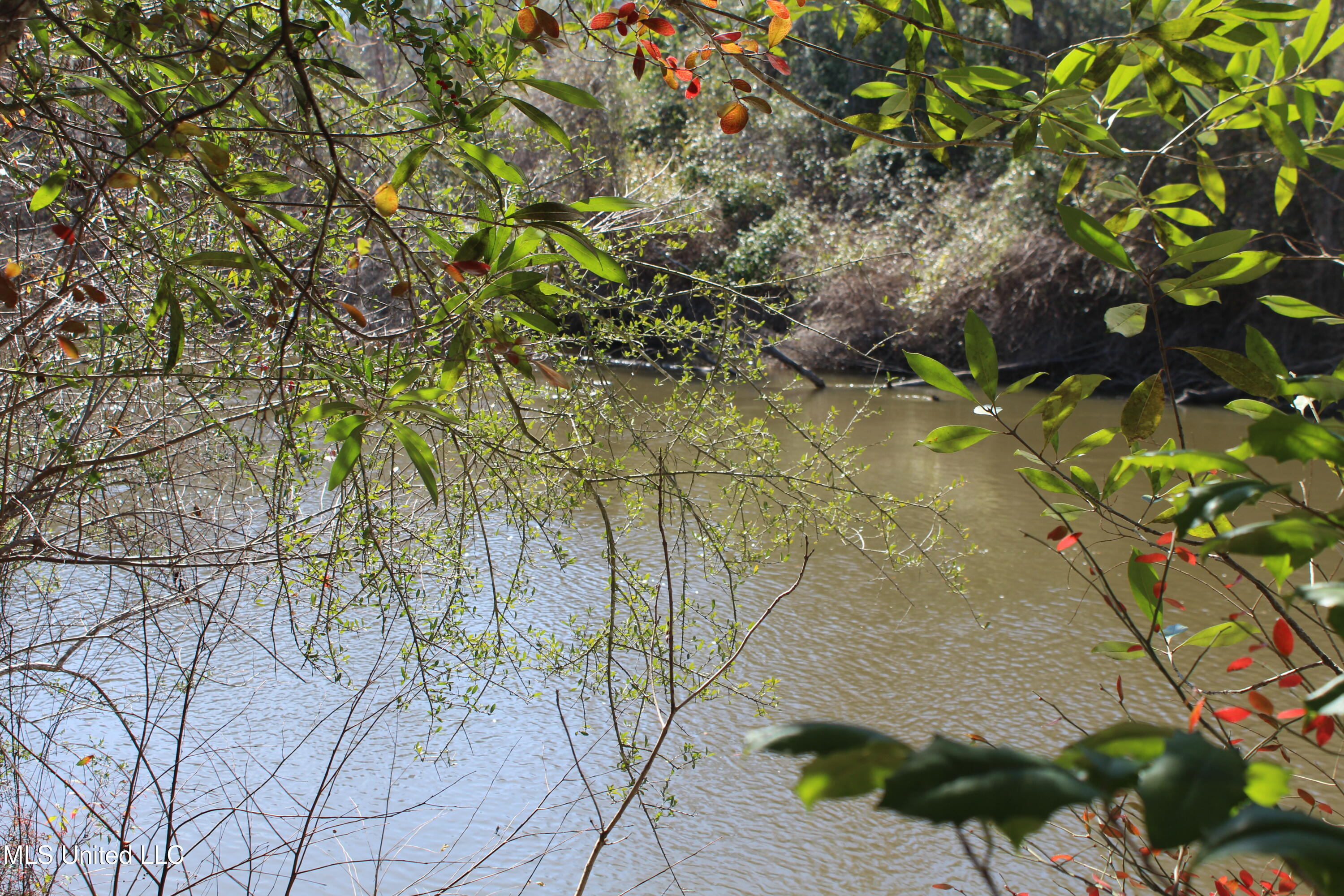 Red Creek Road, Lucedale, Mississippi image 3