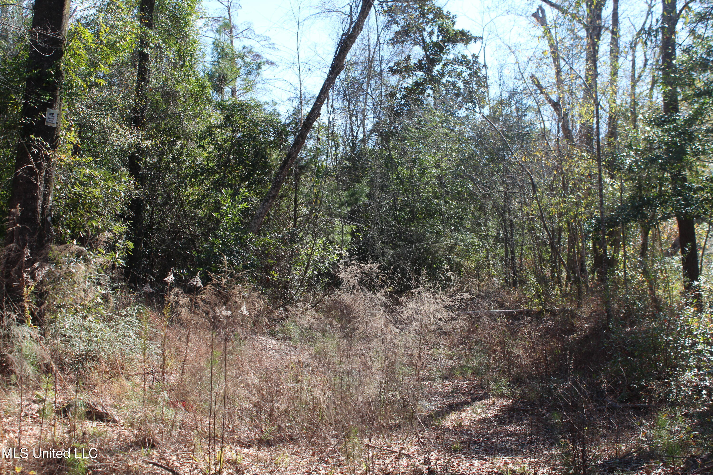 Red Creek Road, Lucedale, Mississippi image 10