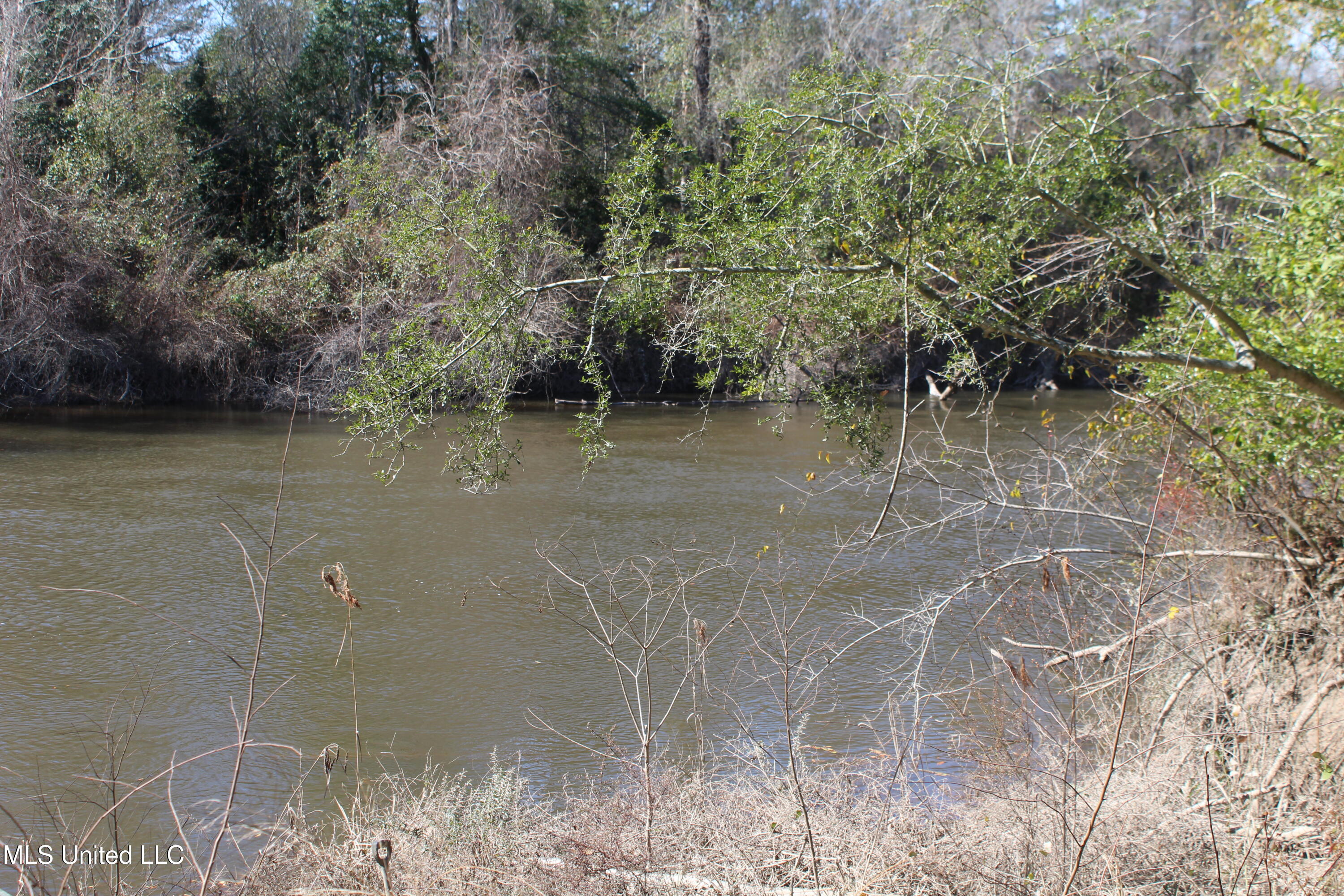 Red Creek Road, Lucedale, Mississippi image 4