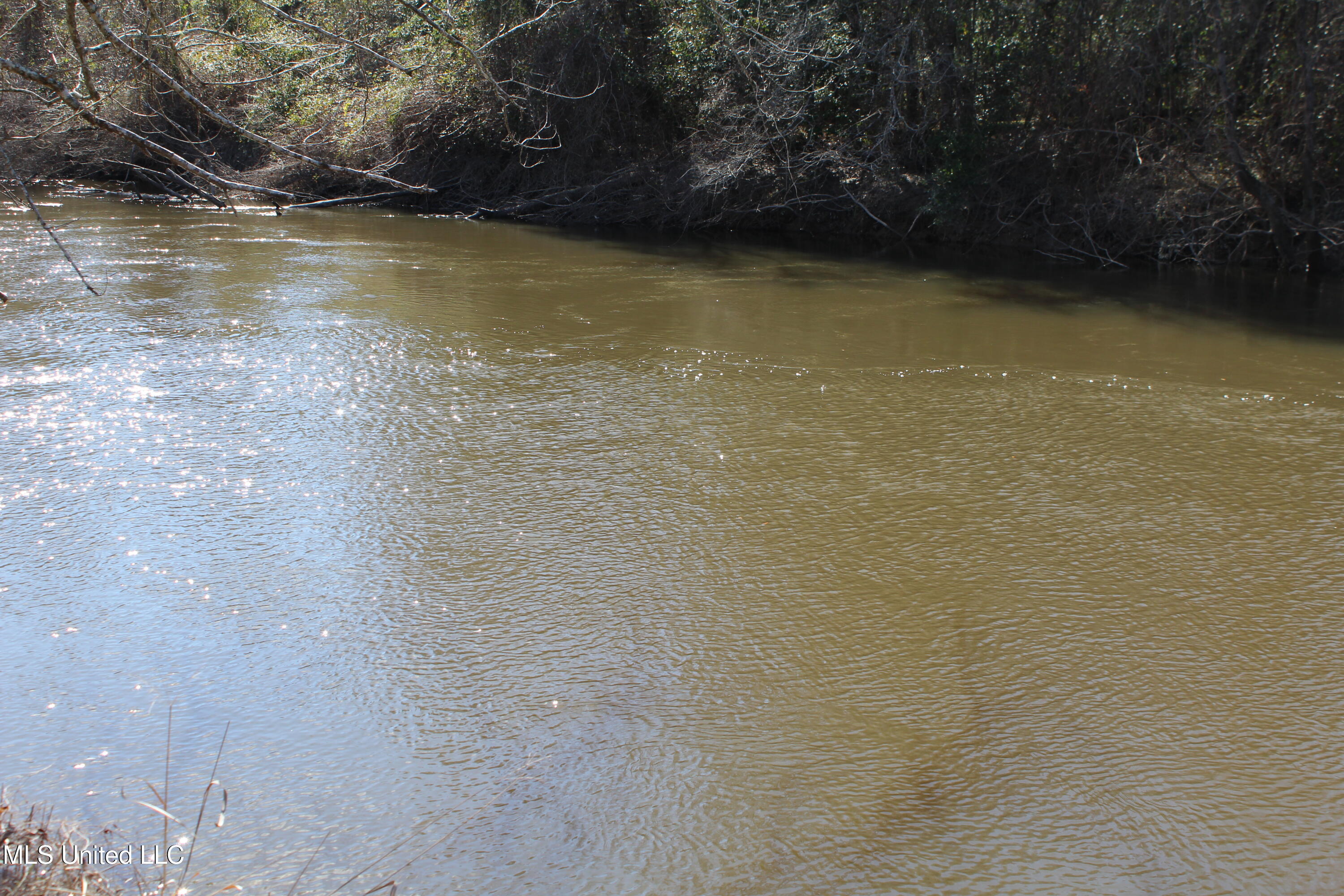 Red Creek Road, Lucedale, Mississippi image 2