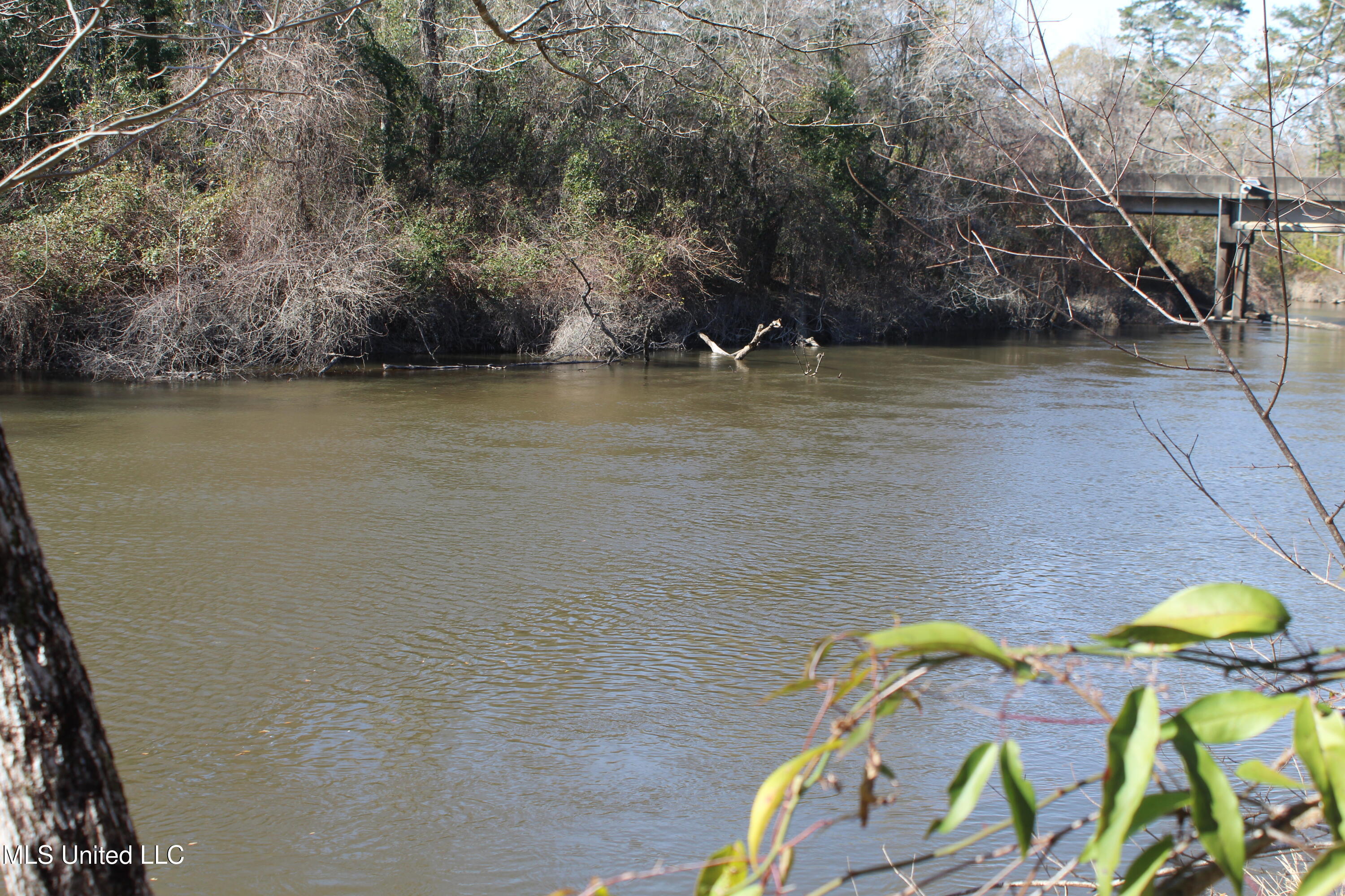 Red Creek Road, Lucedale, Mississippi image 6