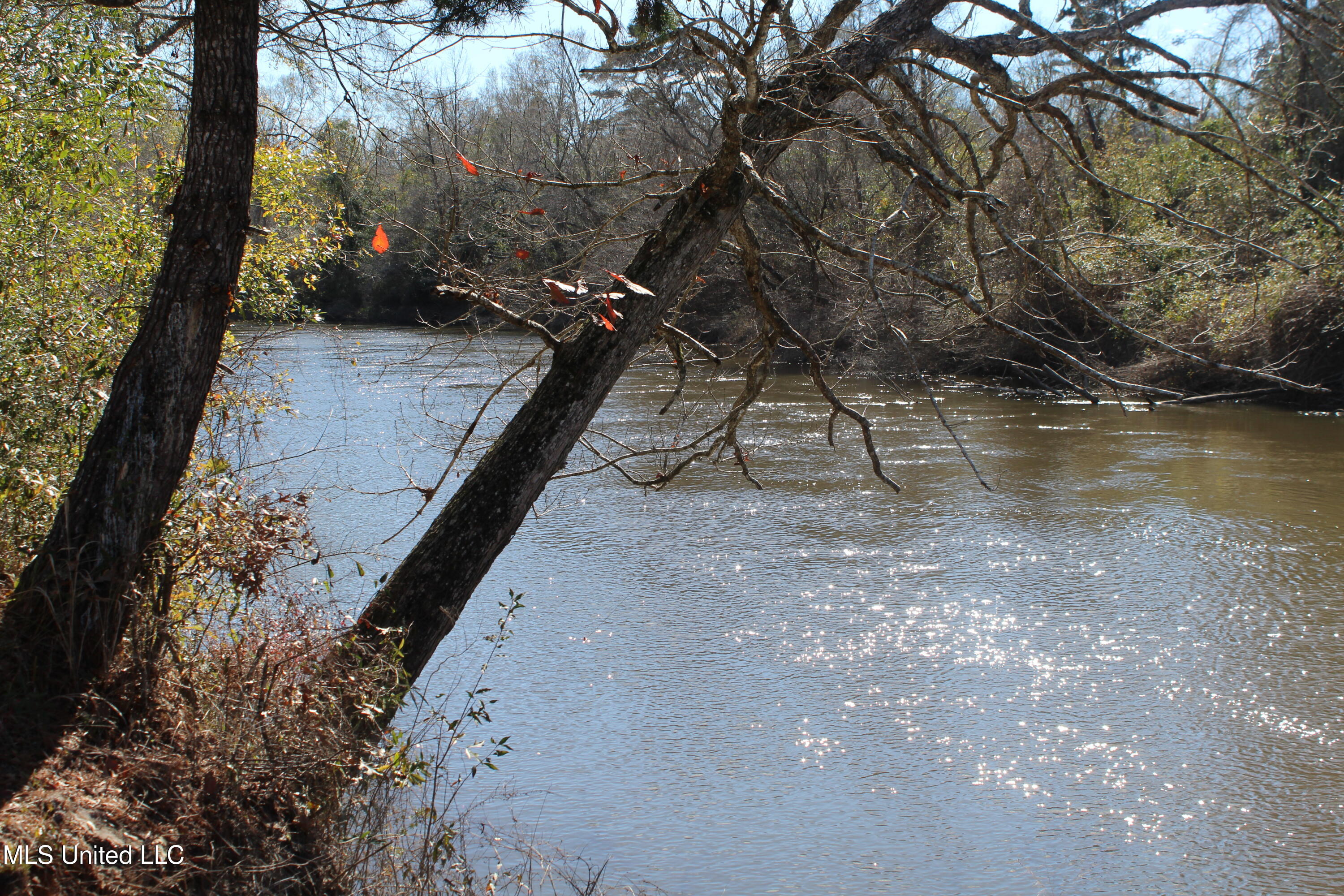 Red Creek Road, Lucedale, Mississippi image 1