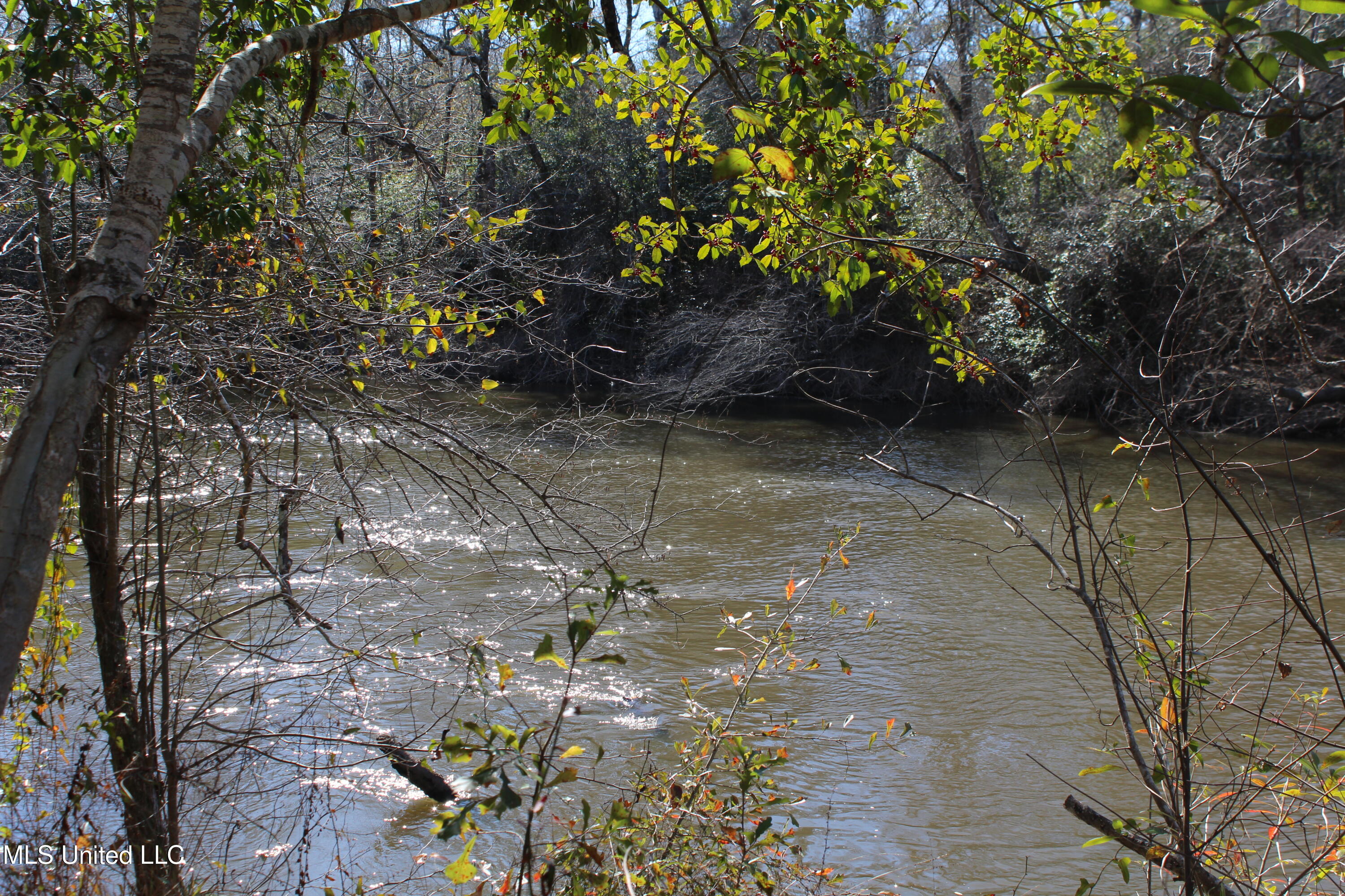 Red Creek Road, Lucedale, Mississippi image 7