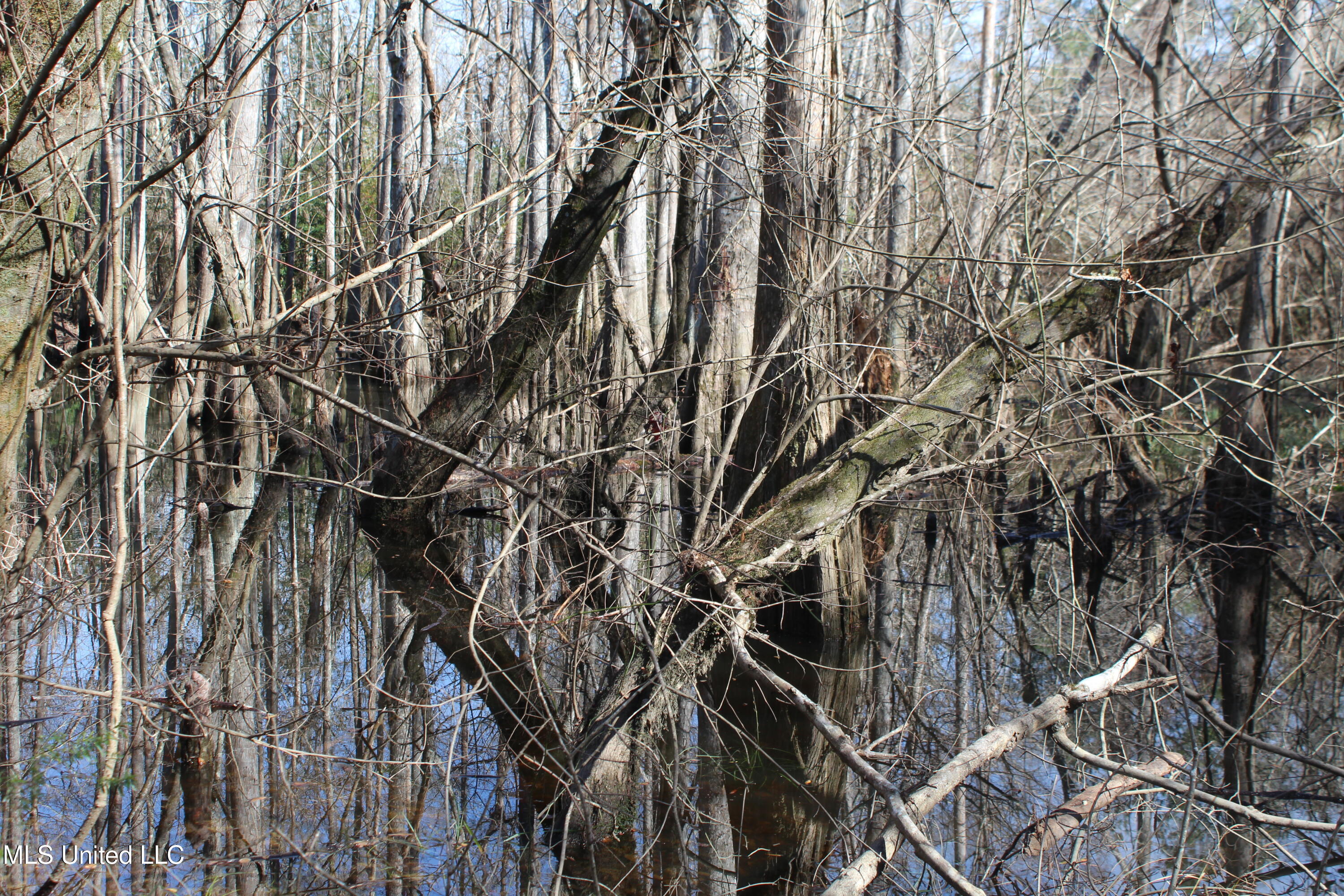 Red Creek Road, Lucedale, Mississippi image 14